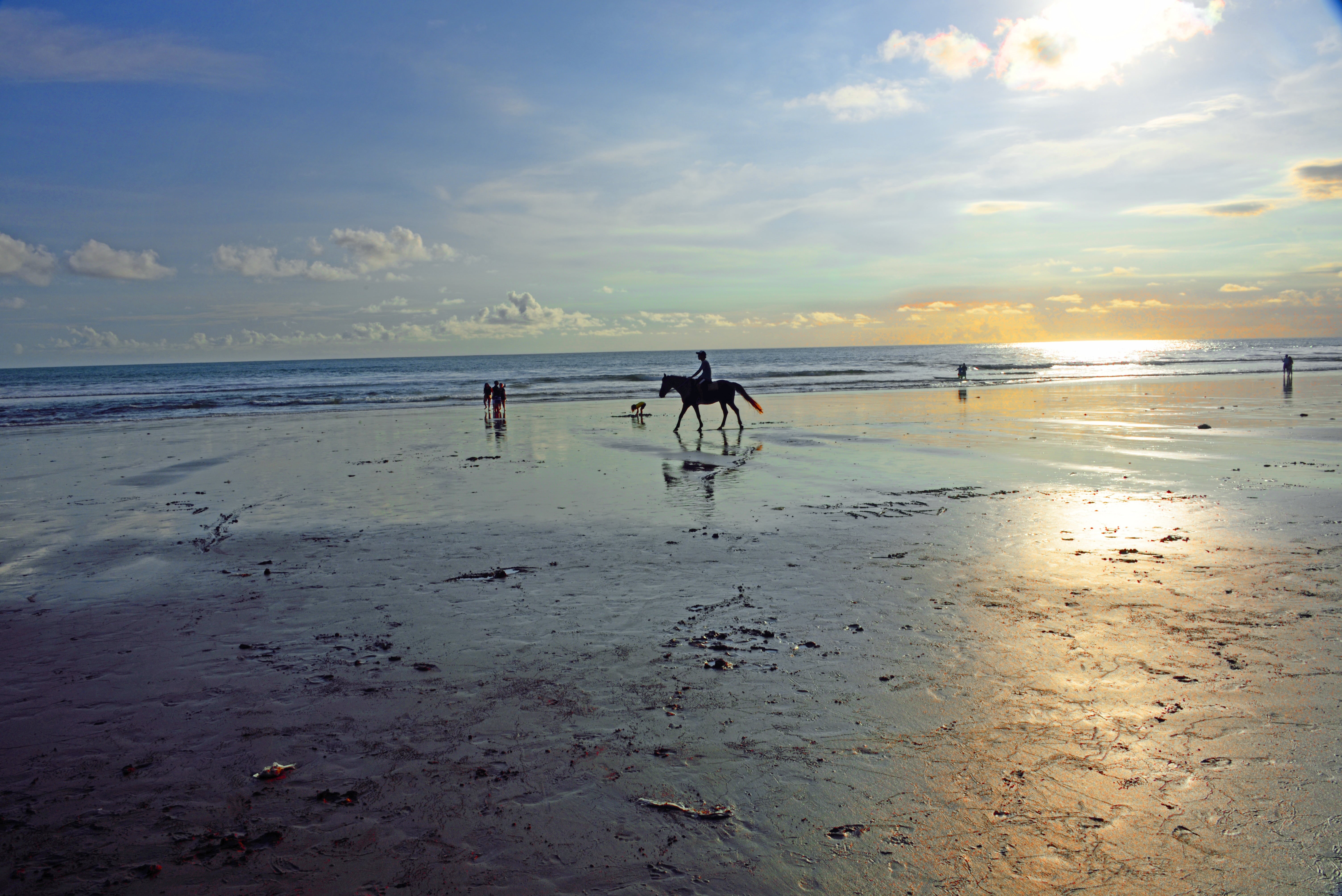 jimbaran beach, water, attractive twilight, body, horizon over water, landscape, reflection, happy, outdoor, riding, domestic, pets, bali, sea, land, beach, HD Wallpaper