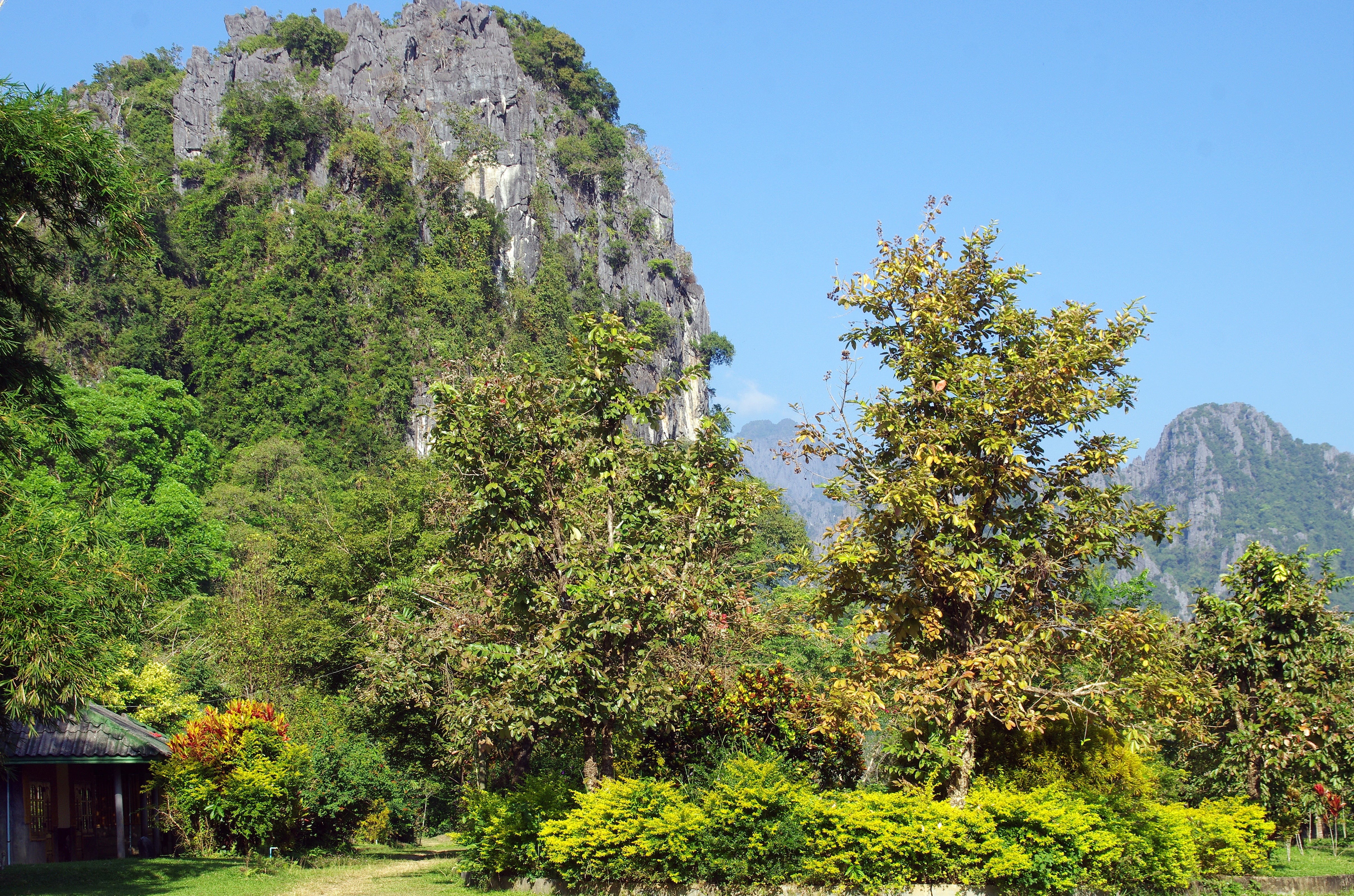 idyllic, temple, forest, clear sky, nature, bleak, sunlight, tranquil scene, karst, land, vang vieng, green color, laos, non-urban scene, scenics - nature, HD Wallpaper