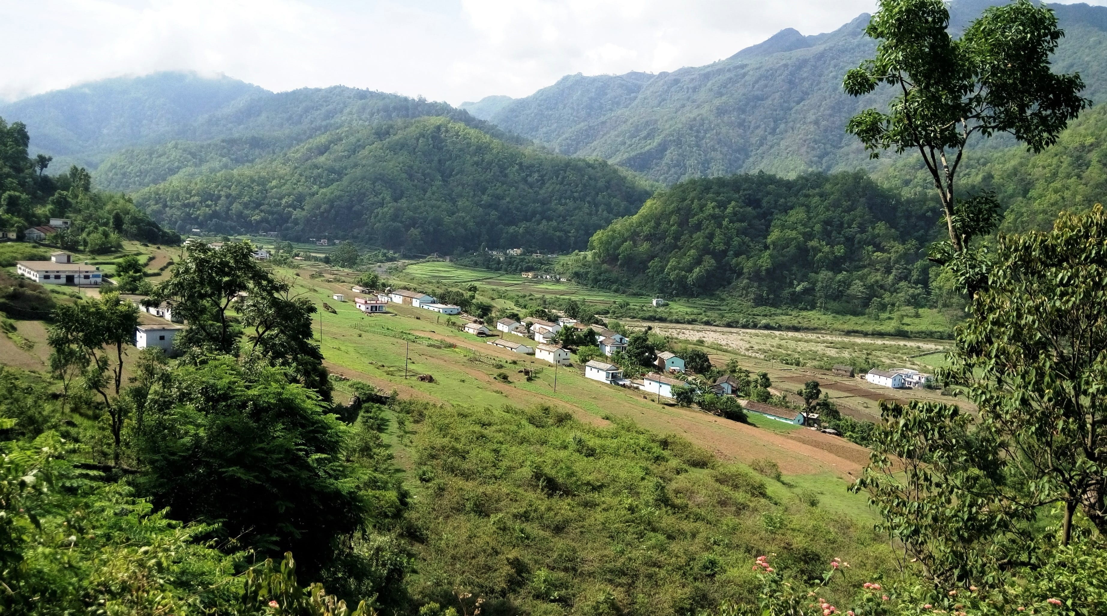 growth, green, non-urban scene, scenic, tranquil scene, mountains, plantation, himalayas, landscape, green color, rural scene, tranquility, outdoors, agricultural land, HD Wallpaper