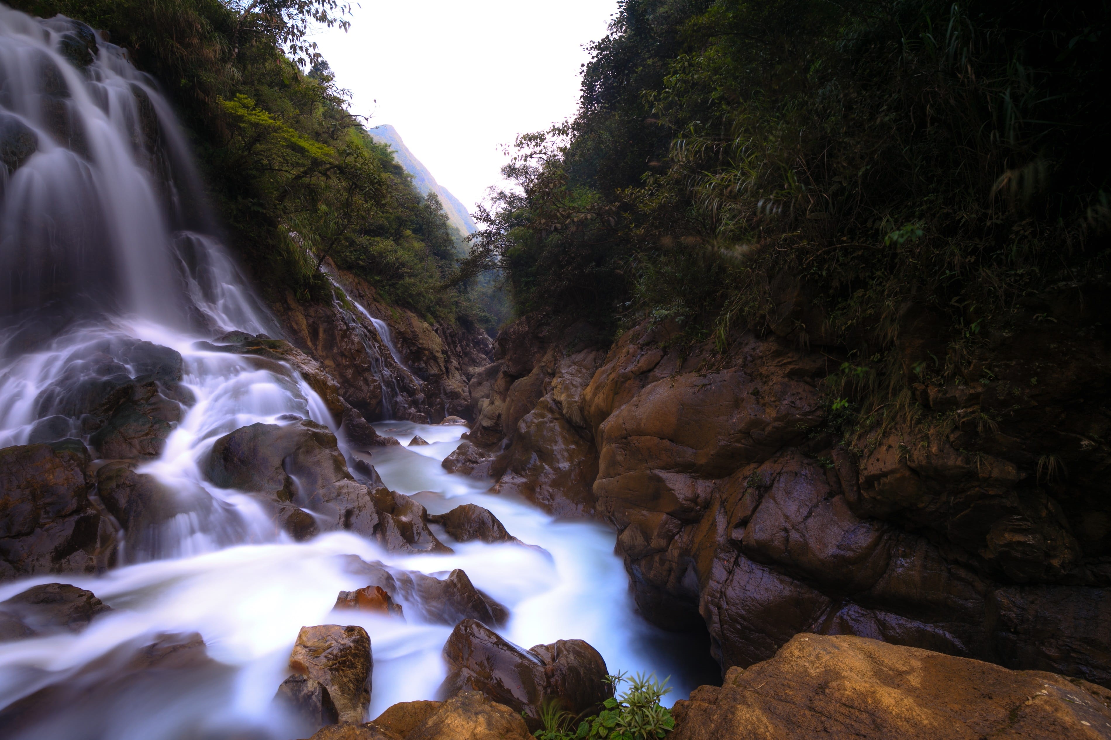 sa pa, streams, freshness, power in nature, tropical, tree, plant, water, asia, motion, wave, stream - flowing water, natural, waterfall, no people, flowing, HD Wallpaper