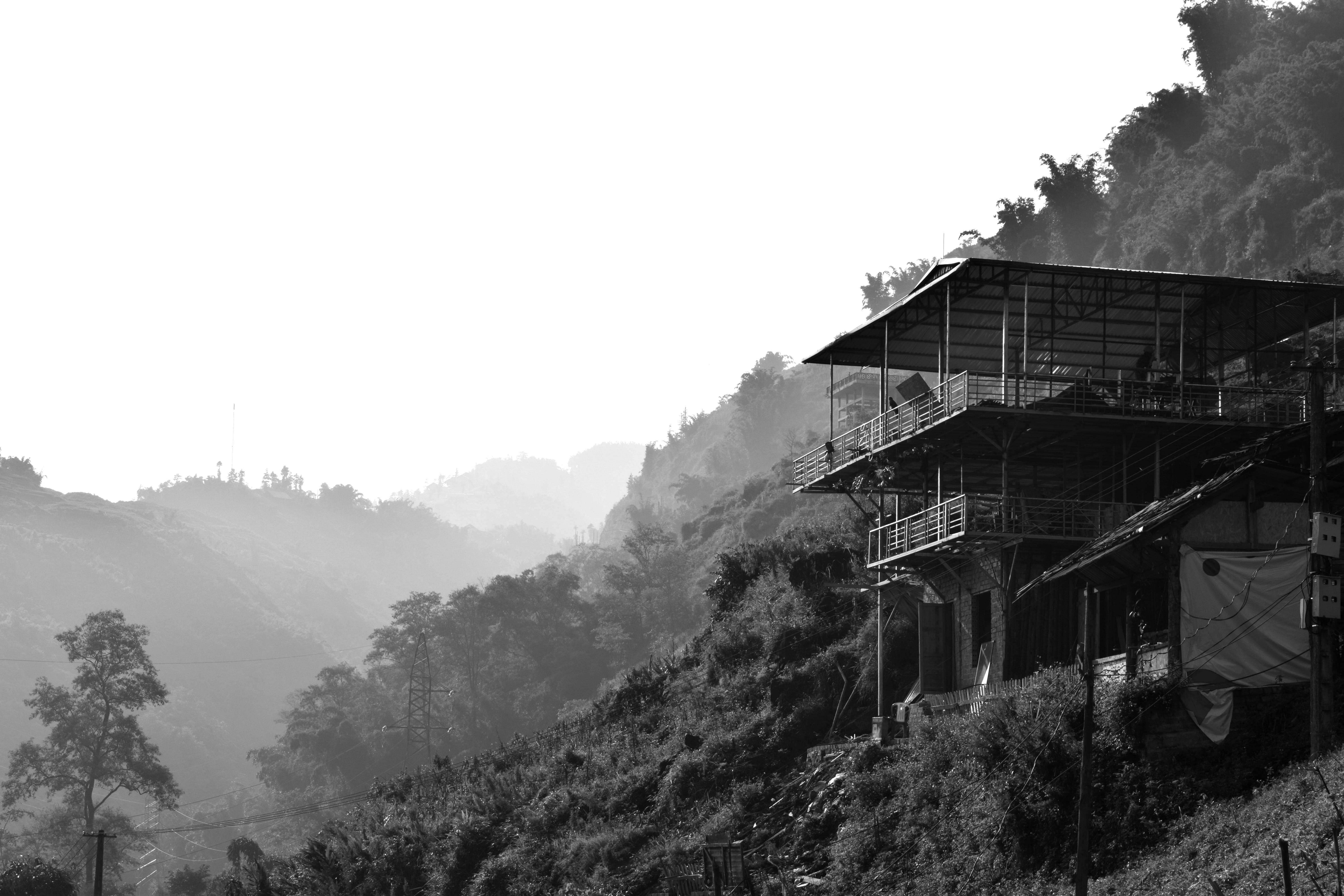 tree, foggy, fog, building exterior, vietnam, 5K, beauty in nature, jungle, tropic, built structure, growth, architecture, residential district, house, HD Wallpaper