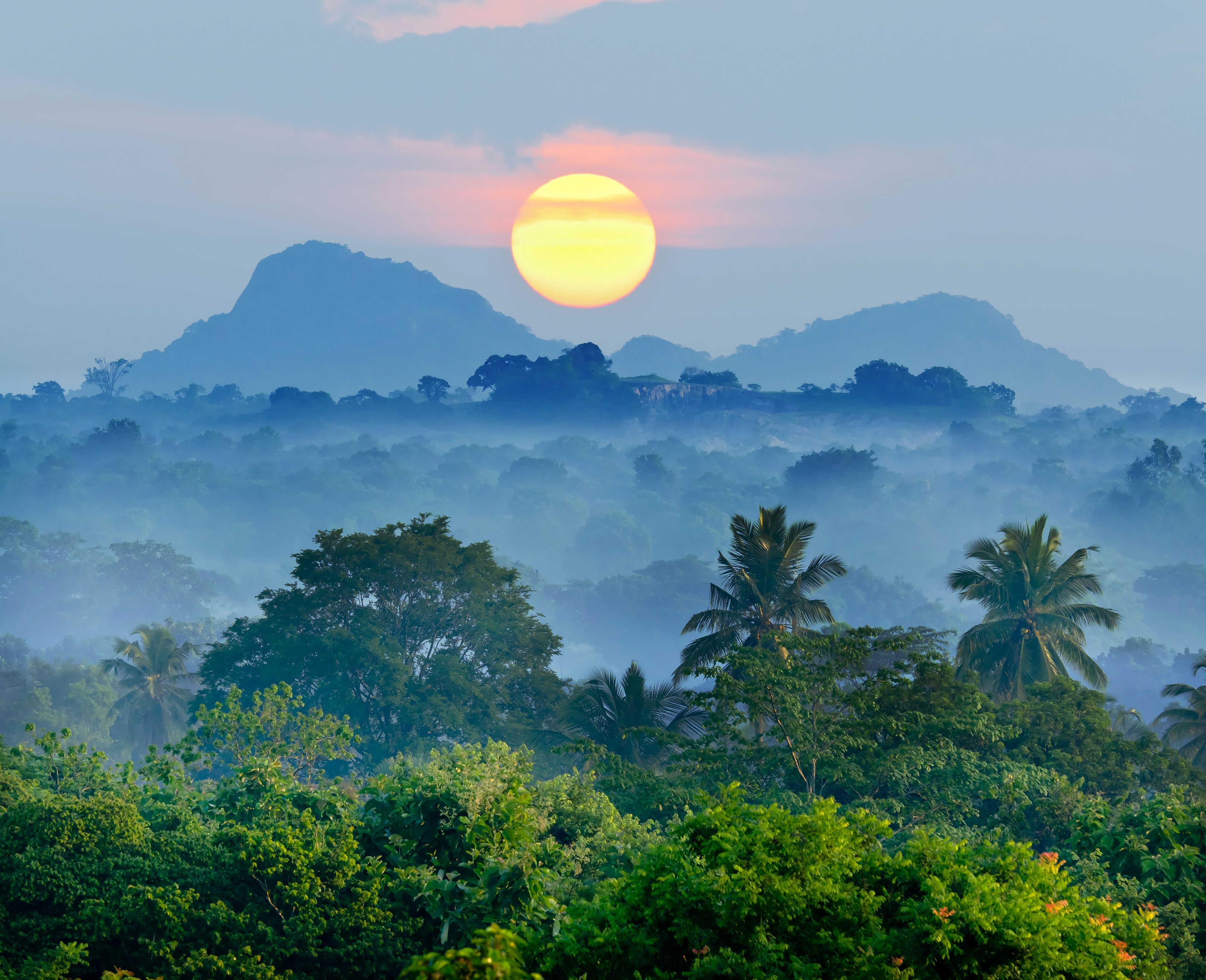 sunrise - Dawn, scenics, leafed, thailand, scenics - nature, mountain peak, mountains, cultures, blue, environment, tropical Rainforest, mountain, tranquil scene, HD Wallpaper