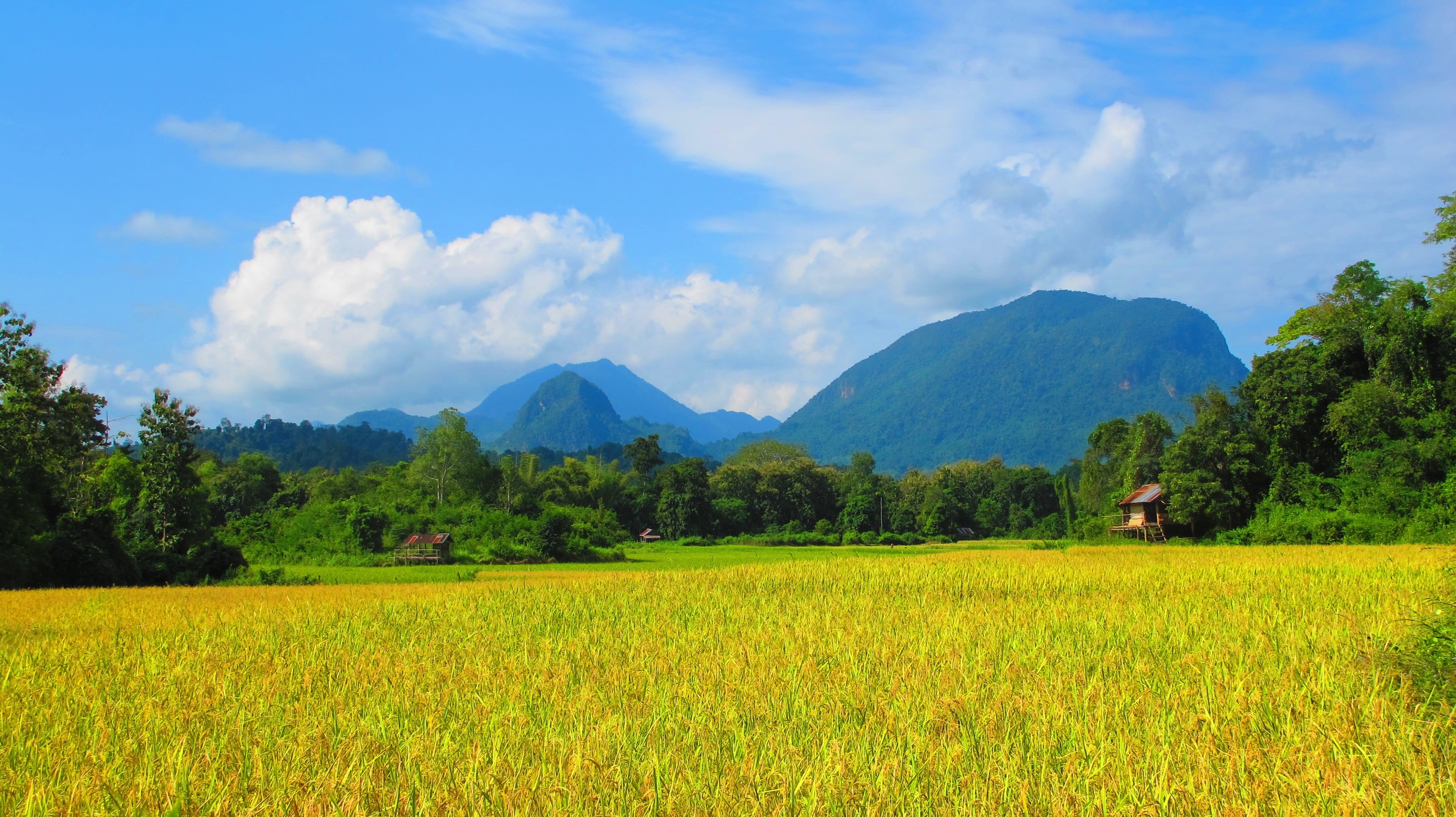 beauty in nature, plant, Country Side, Field, sky, growth, plantation, mountain, landscape, scenics - nature, tranquil scene, cloud - sky, mountain range, HD Wallpaper