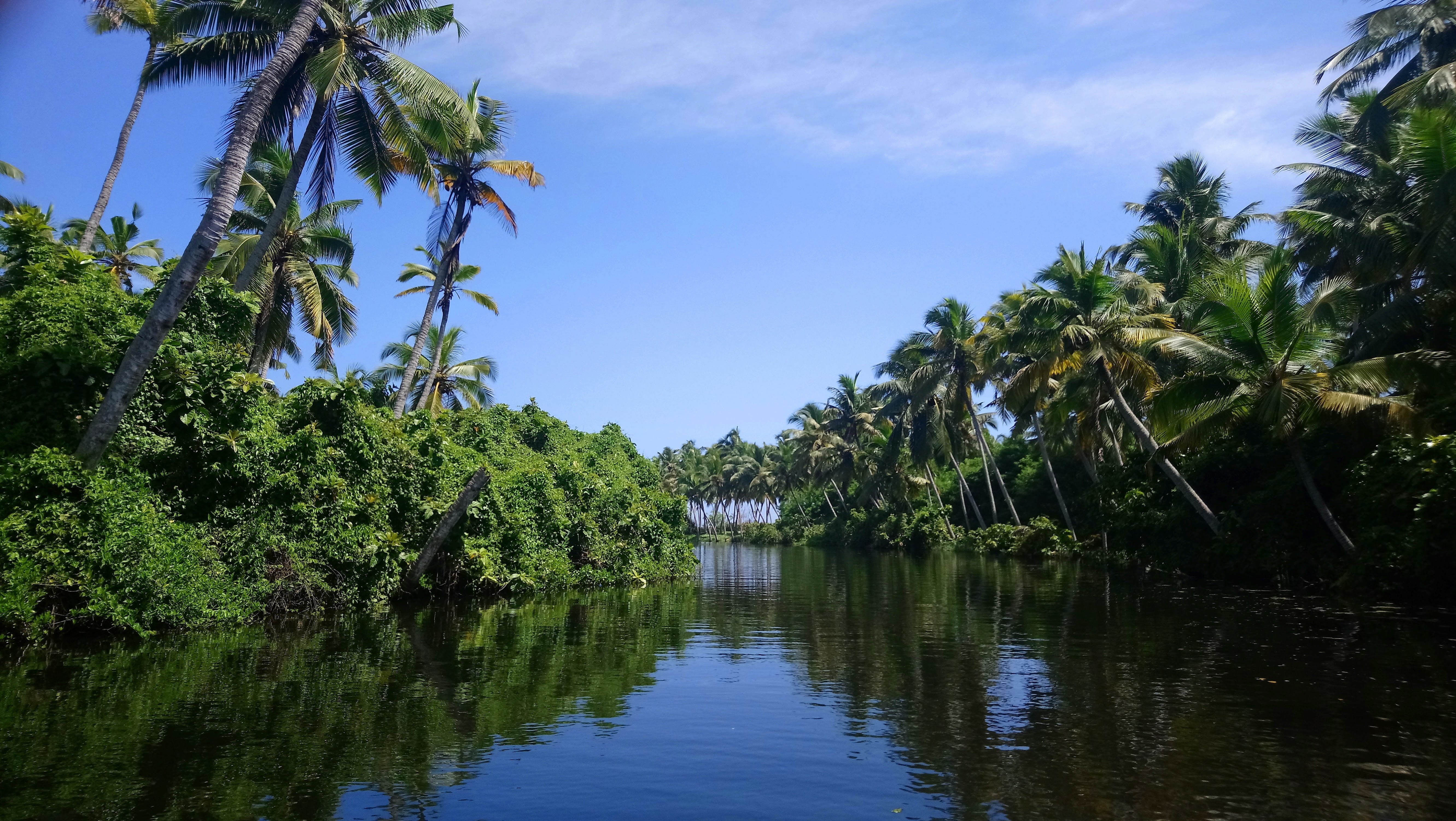 beauty in nature, outdoors, nature, gods own country, body, tree, day, surrounded, sky, river, tropical climate, tranquility, 5K, coconut palm tree, water, HD Wallpaper