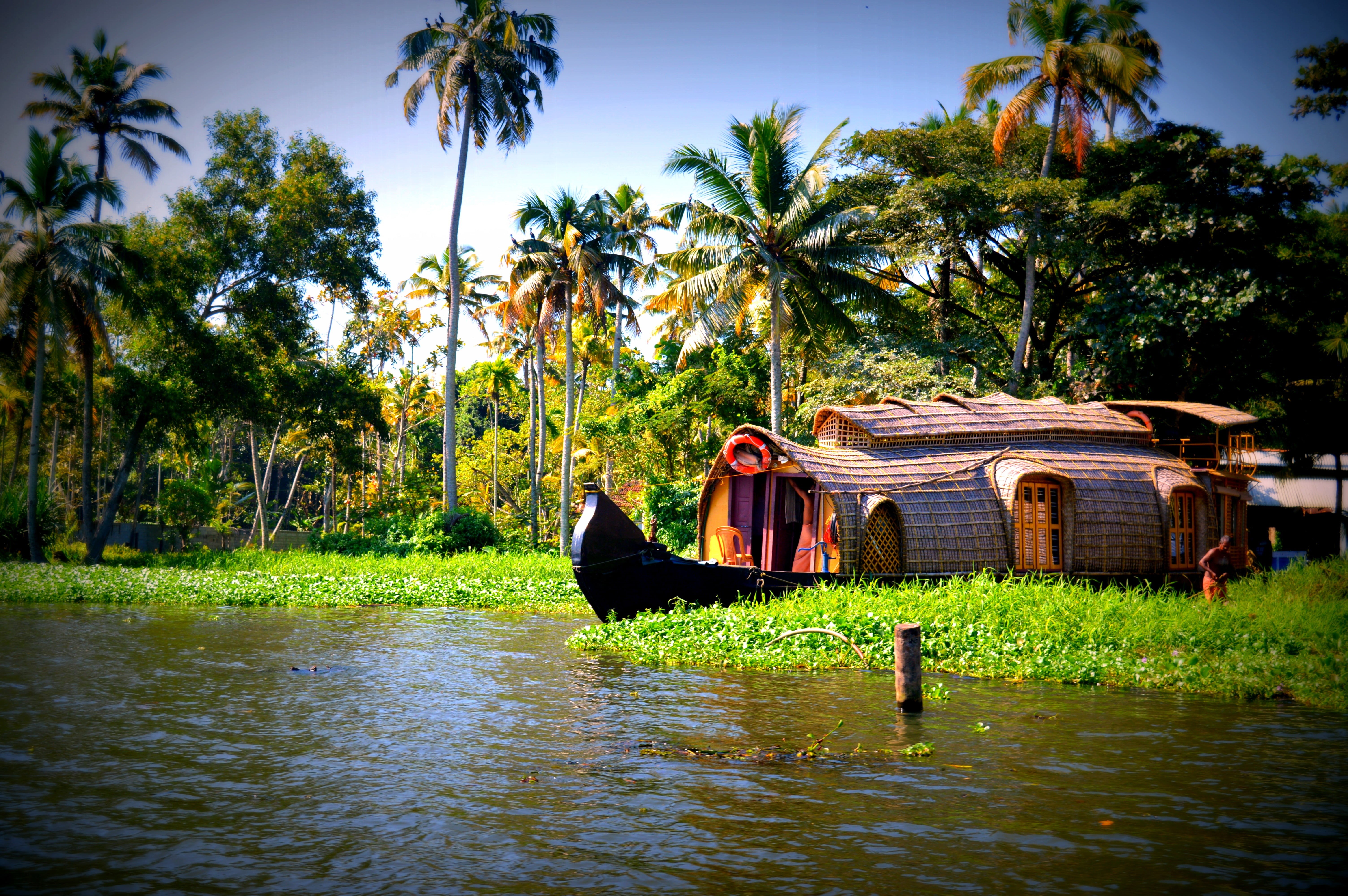 tropical climate, palm tree, coconut palm tree, cultures, real people, nature, leisure activity, boats, green color, 5K, outdoors, water, houseboats, nautical Vessel, HD Wallpaper