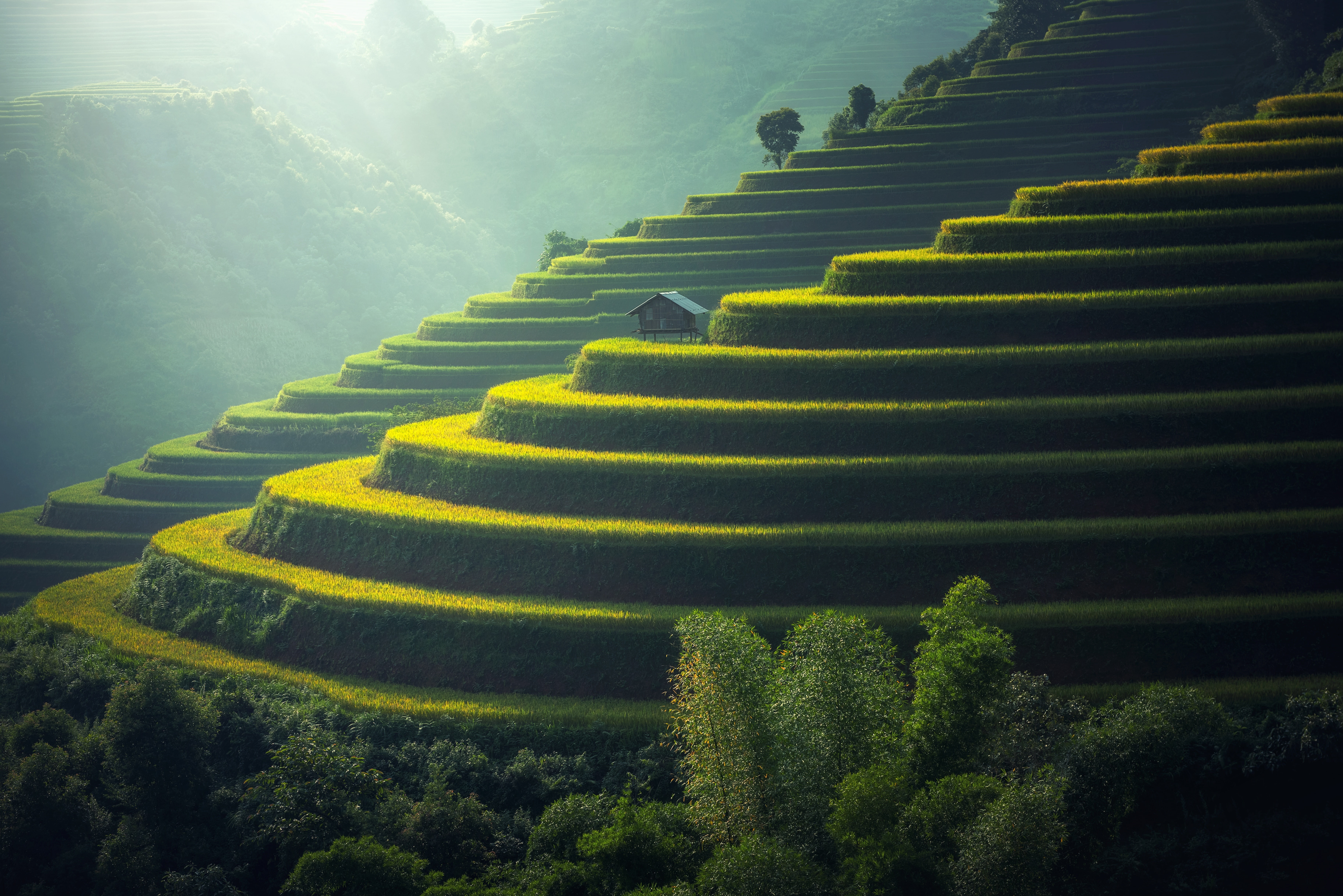 landmarks, terraces, banaue, 5K, 8K, Terrace farming, Farm, Agriculture, rice, 4K, HD Wallpaper