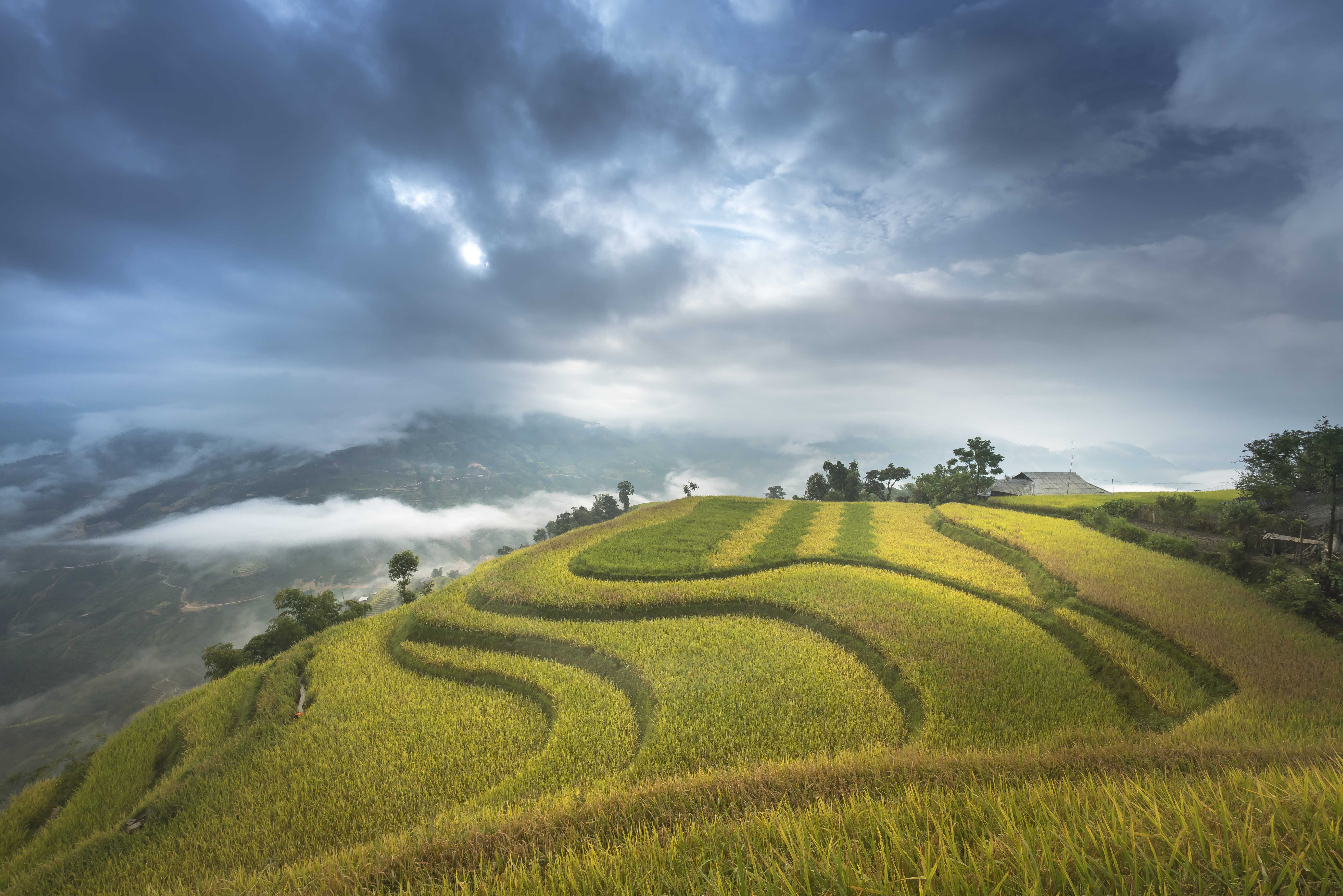 cloud - sky, sky, farm, beauty in nature, 8K, dawn, rice field, land, trees, agriculture, ha giang, growth, clouds, the landscape, local, class, gray, HD Wallpaper