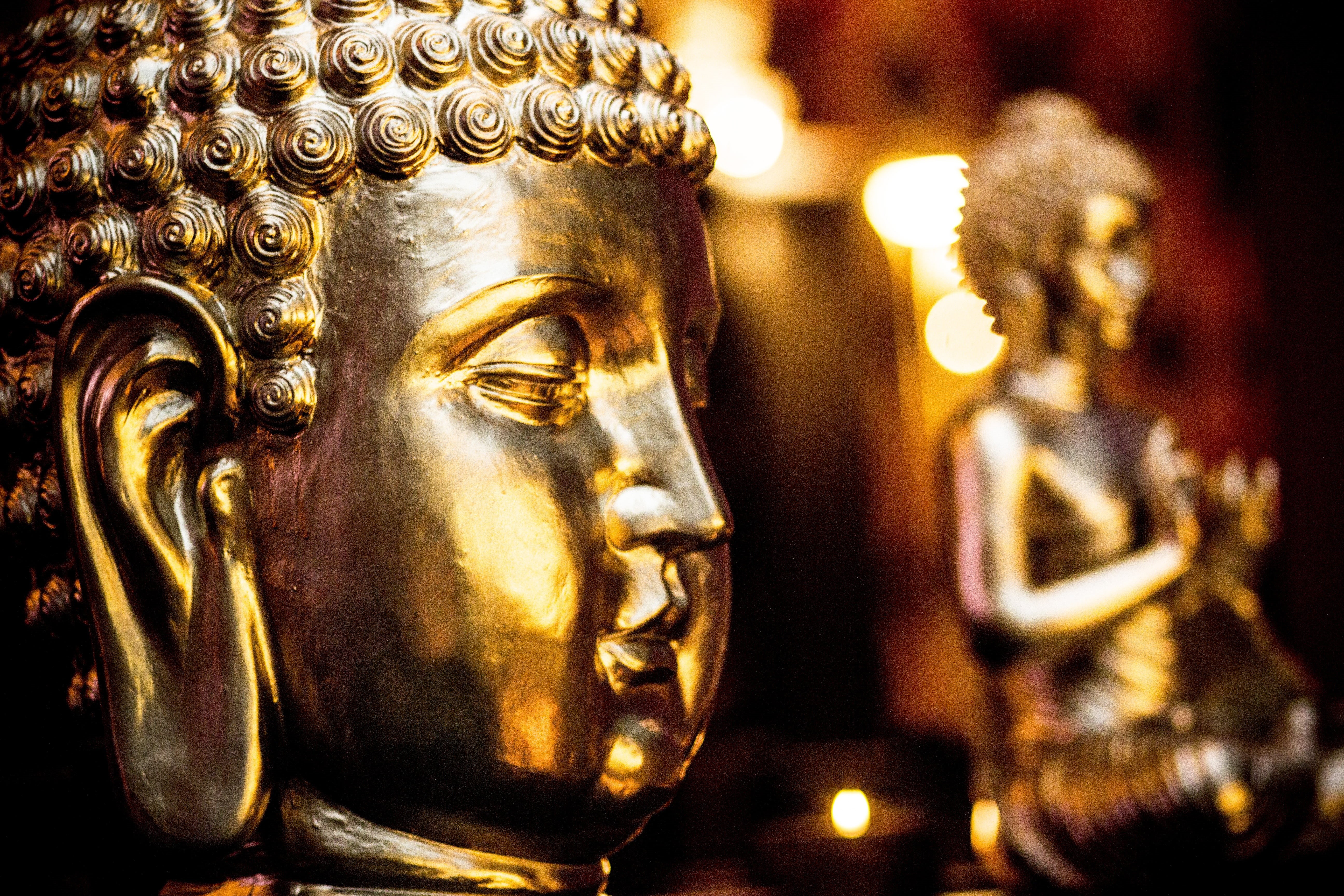 male likeness, spirituality, place of worship, creativity, focus on foreground, belief, buddha, religion, art and craft, decoration, indoors, ornate, statue, HD Wallpaper