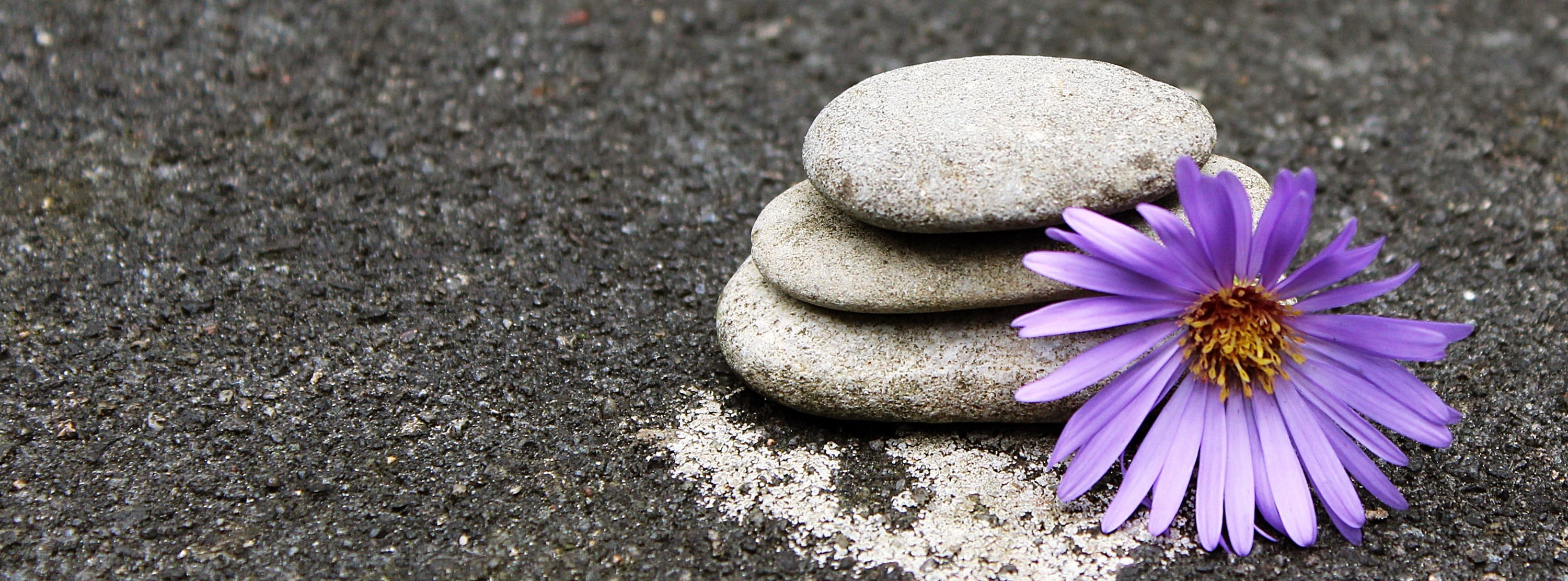 2K, stack, flower head, art, photo, meditate, meditation, inflorescence, rest, decoration, serenity, focus on foreground, garden, yoga, stones, plant, HD Wallpaper