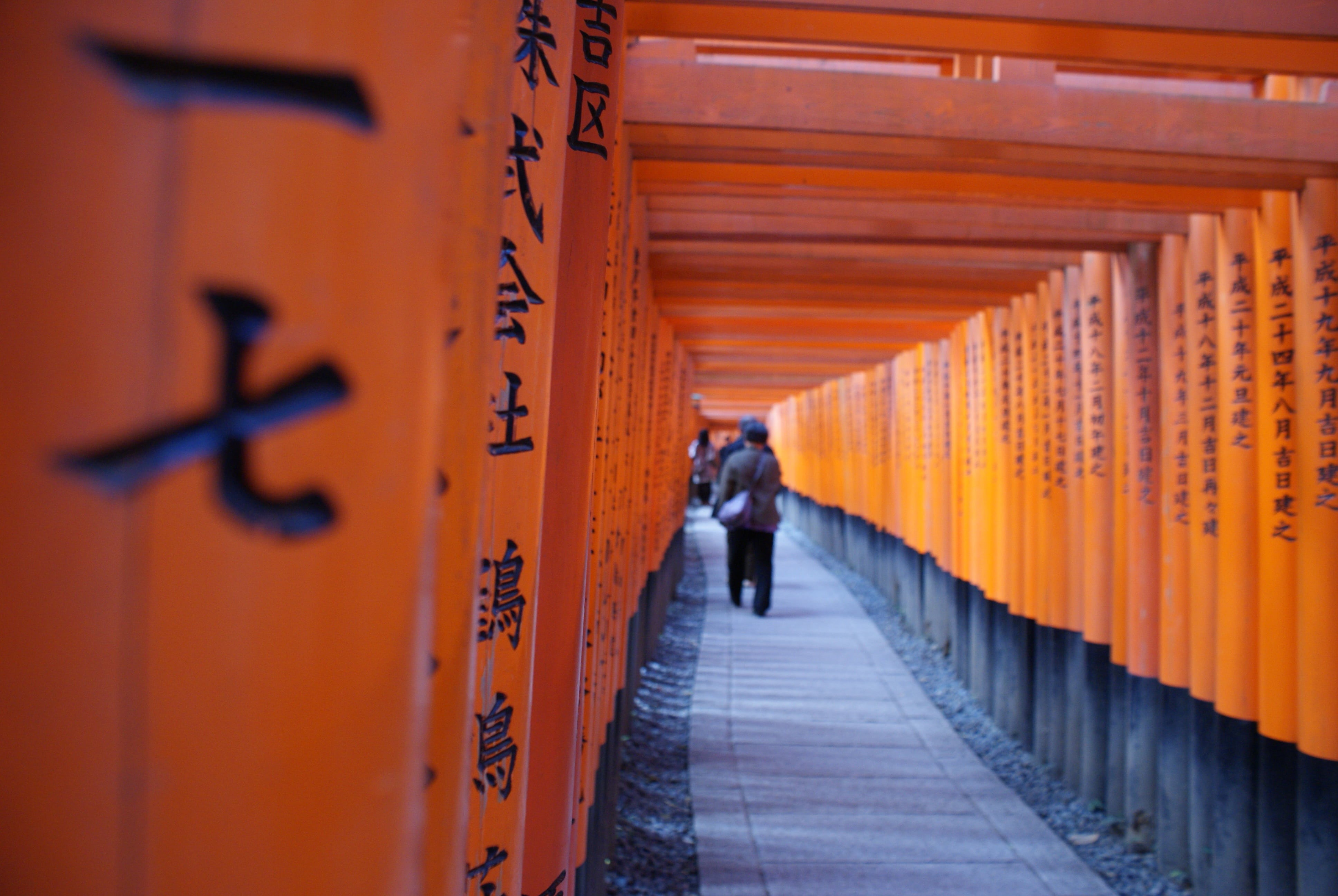 kyoto, architecture, asia, adult, way of life, fernöstlich, japan, zen, 4K, building, travel destinations, direction, text, architectural column, one person, HD Wallpaper