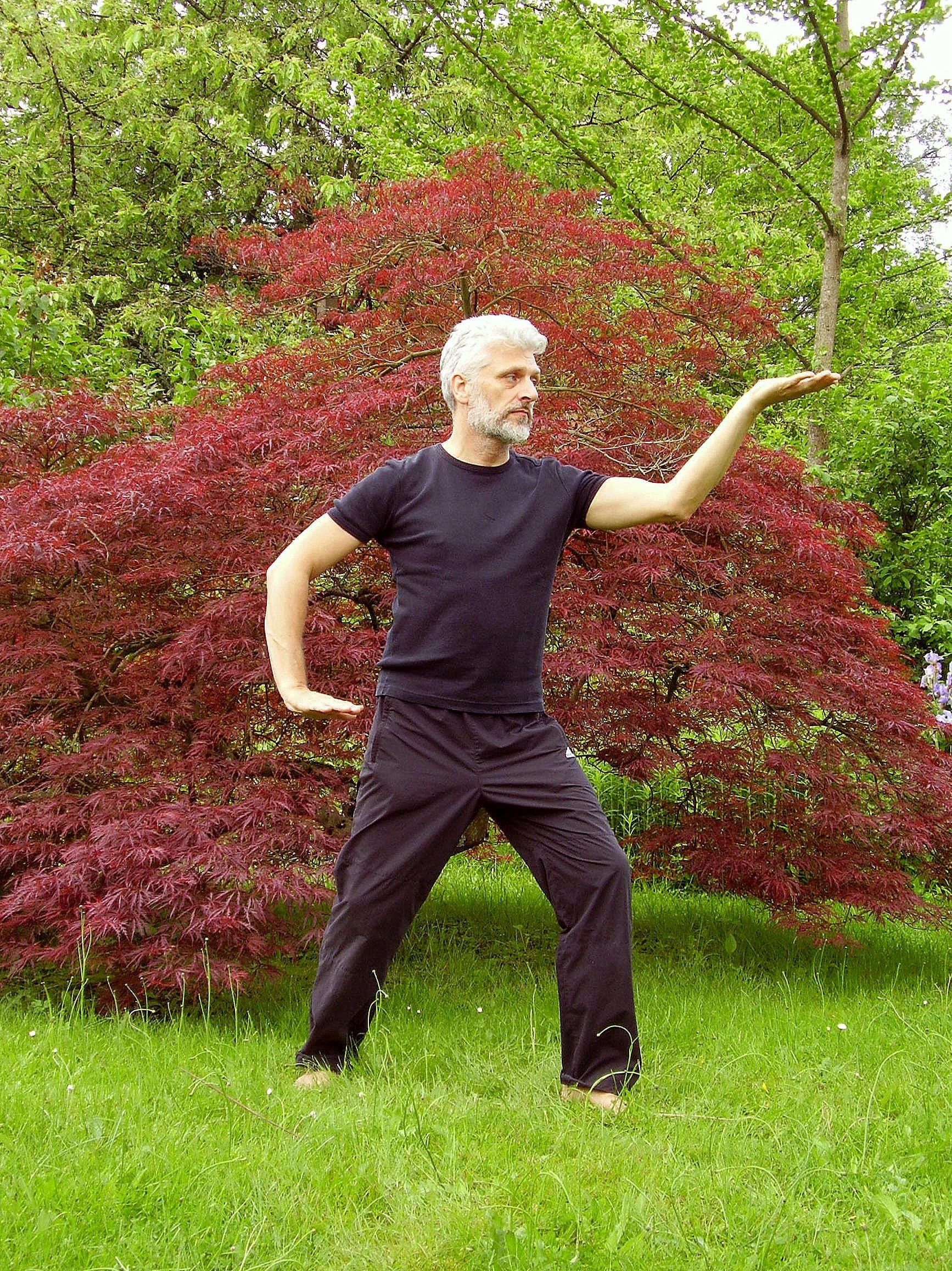 tree, Taiji, one person, only women, yoga, beside, land, leaf, arms raised, spirituality, chi kung, front view, inner calm, young adult, full length, Tai Chi, Phone HD Wallpaper