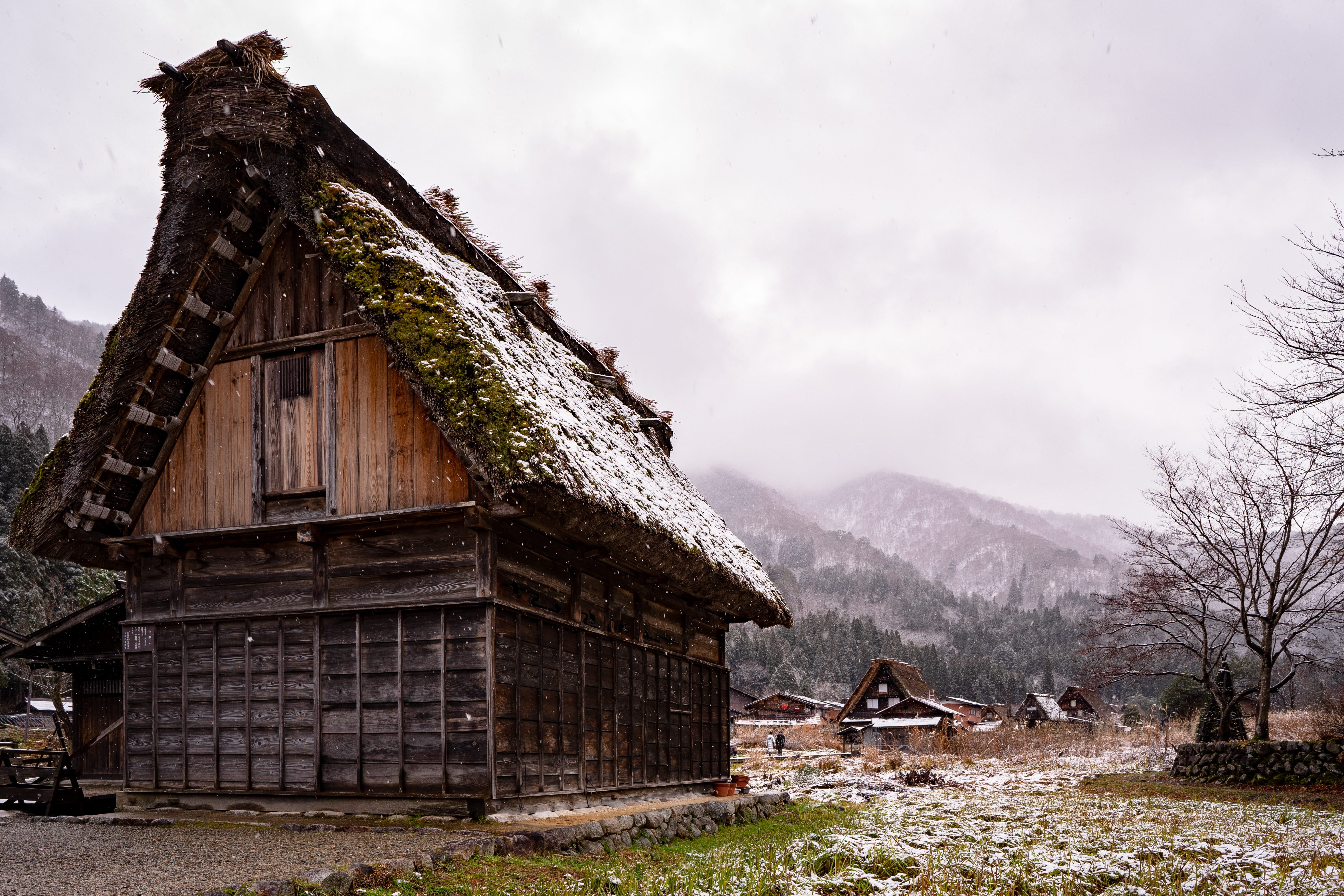housing, plant, japan, no people, shirakawa go, scenics - nature, building exterior, mountain, built structure, countryside, animal, cloud - sky, beauty in nature, HD Wallpaper