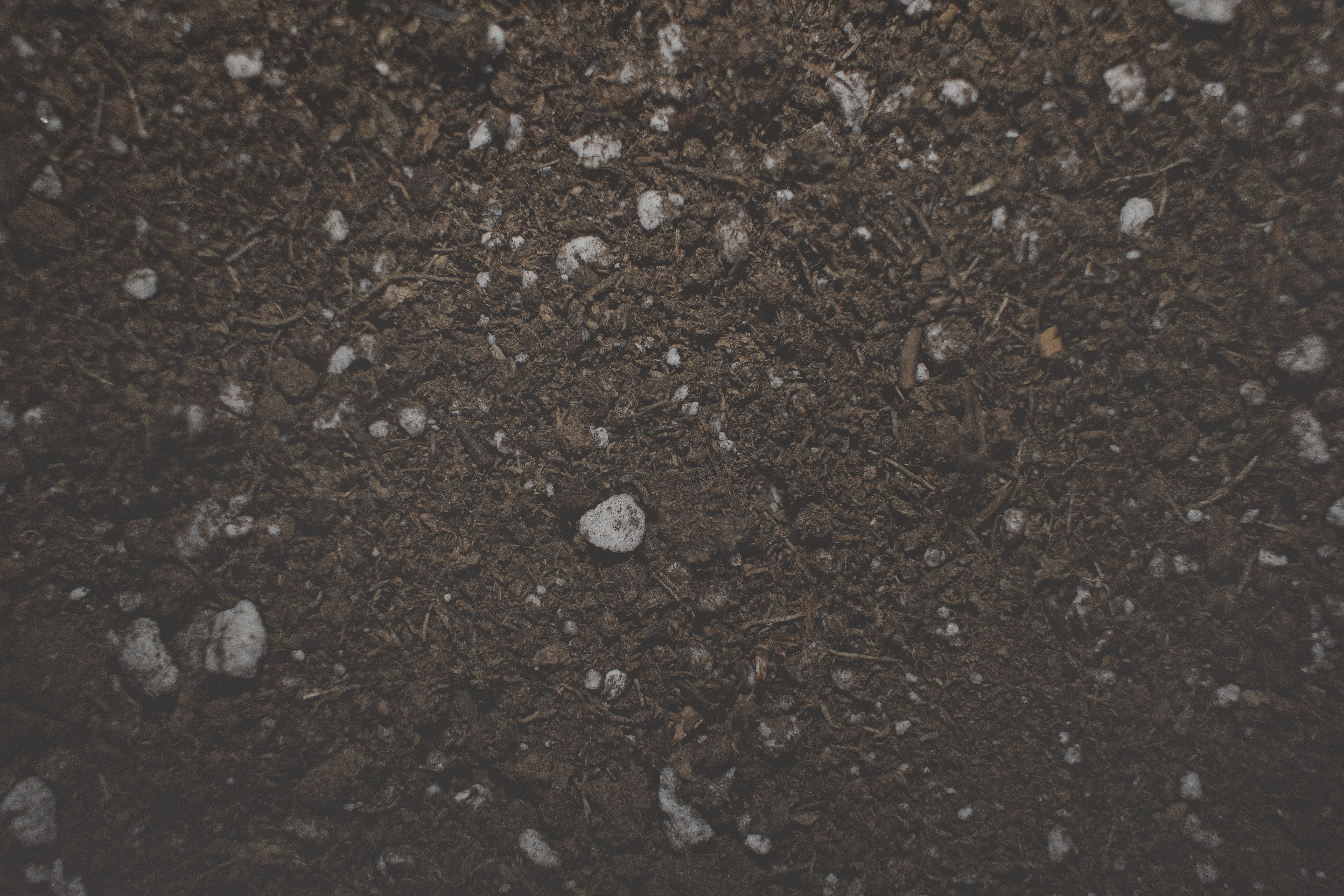 textured, land, gardening, rocks, soil, pattern, textured background, dark, 5K, fertilizer, garden, backgrounds, day, texture, high angle view, earth, HD Wallpaper