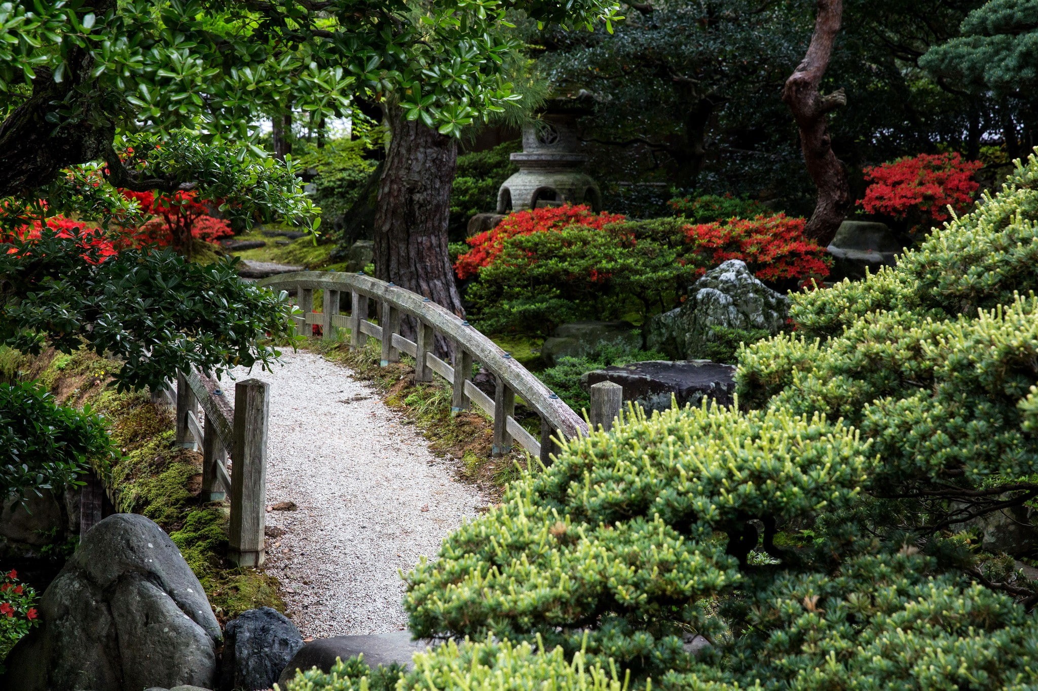 solid, connection, park, day, formal garden, tranquility, 1080P, rock, architecture, nature, beauty in nature, outdoors, green color, growth, bridge, japanese garden, HD Wallpaper