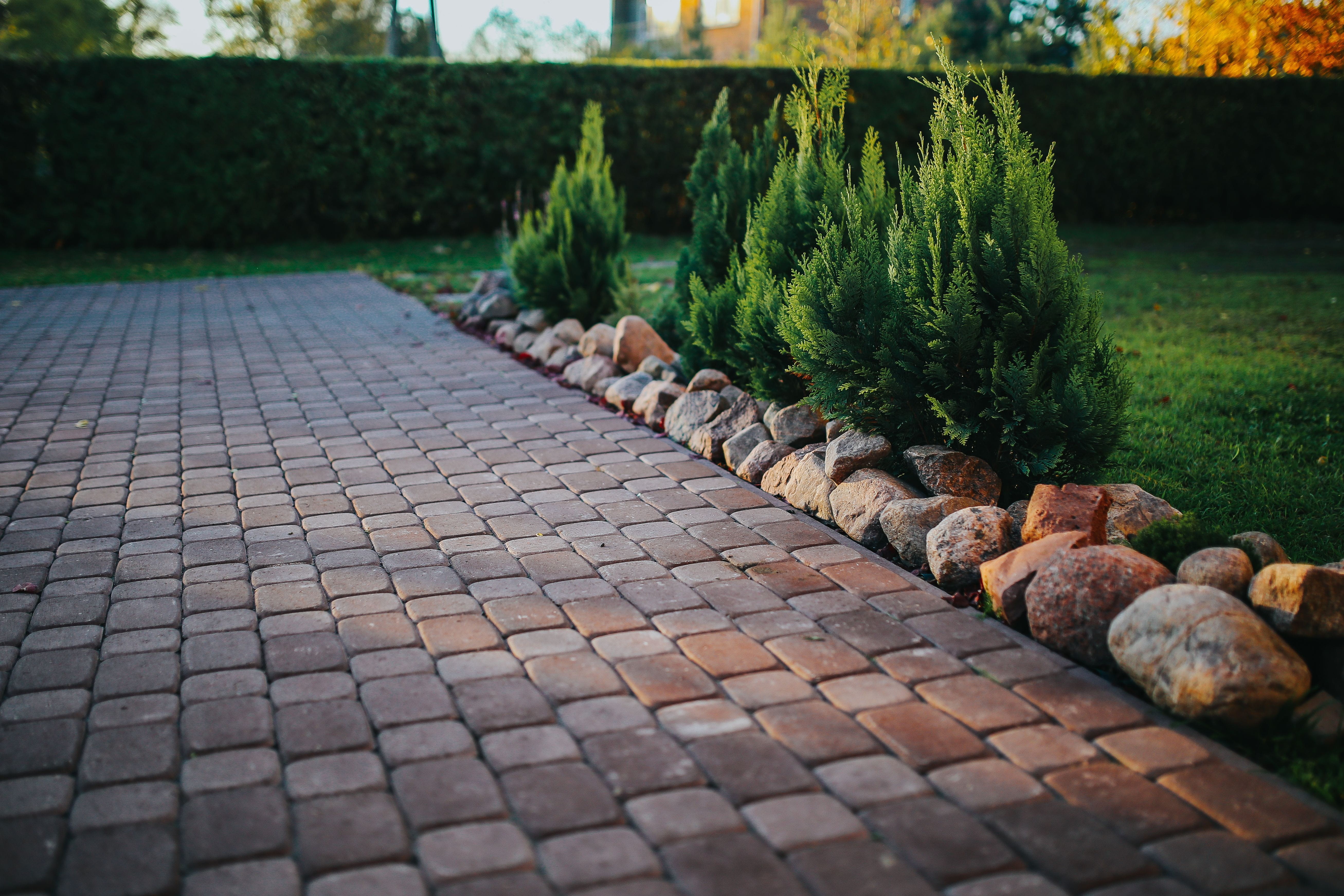 autumn, park, Dog, formal Garden, tree, rocks, plant, in a row, leaves, sidewalk, growth, day, brick, stone Material, garden, sunlight, autumn garden, park - Man Made Space, HD Wallpaper