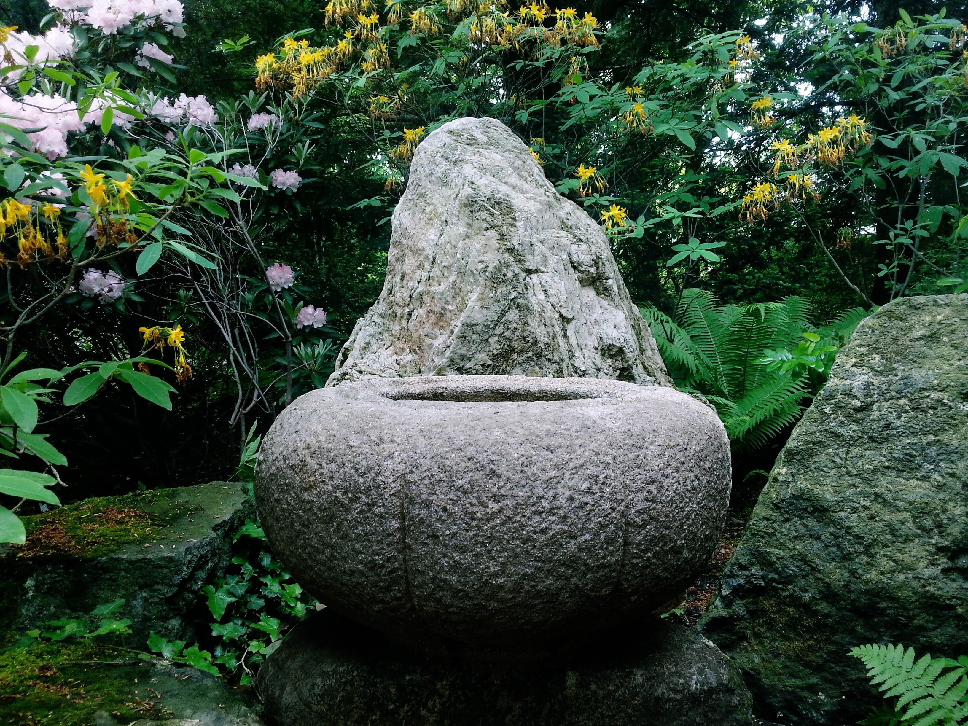 plant, trees, day, rock, art and craft, flowers, nature, solid, sculpture, outdoors, representation, stone - object, no people, formal garden, rock - object, HD Wallpaper