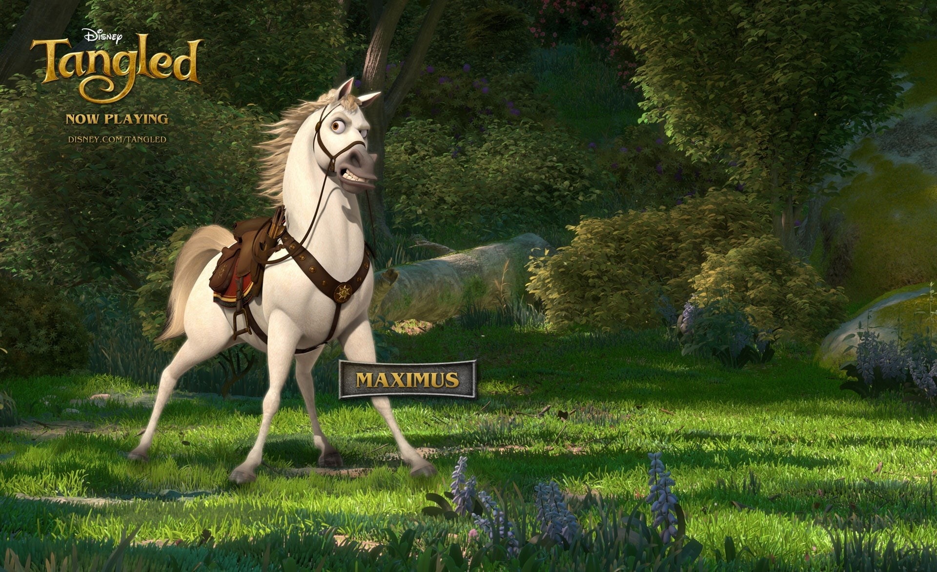 animal, herbivorous, day, growth, domestic, tangled movie, Cartoons, tree, plant, pets, animal wildlife, tangled maximus, domestic animals, horse, mammal, HD Wallpaper