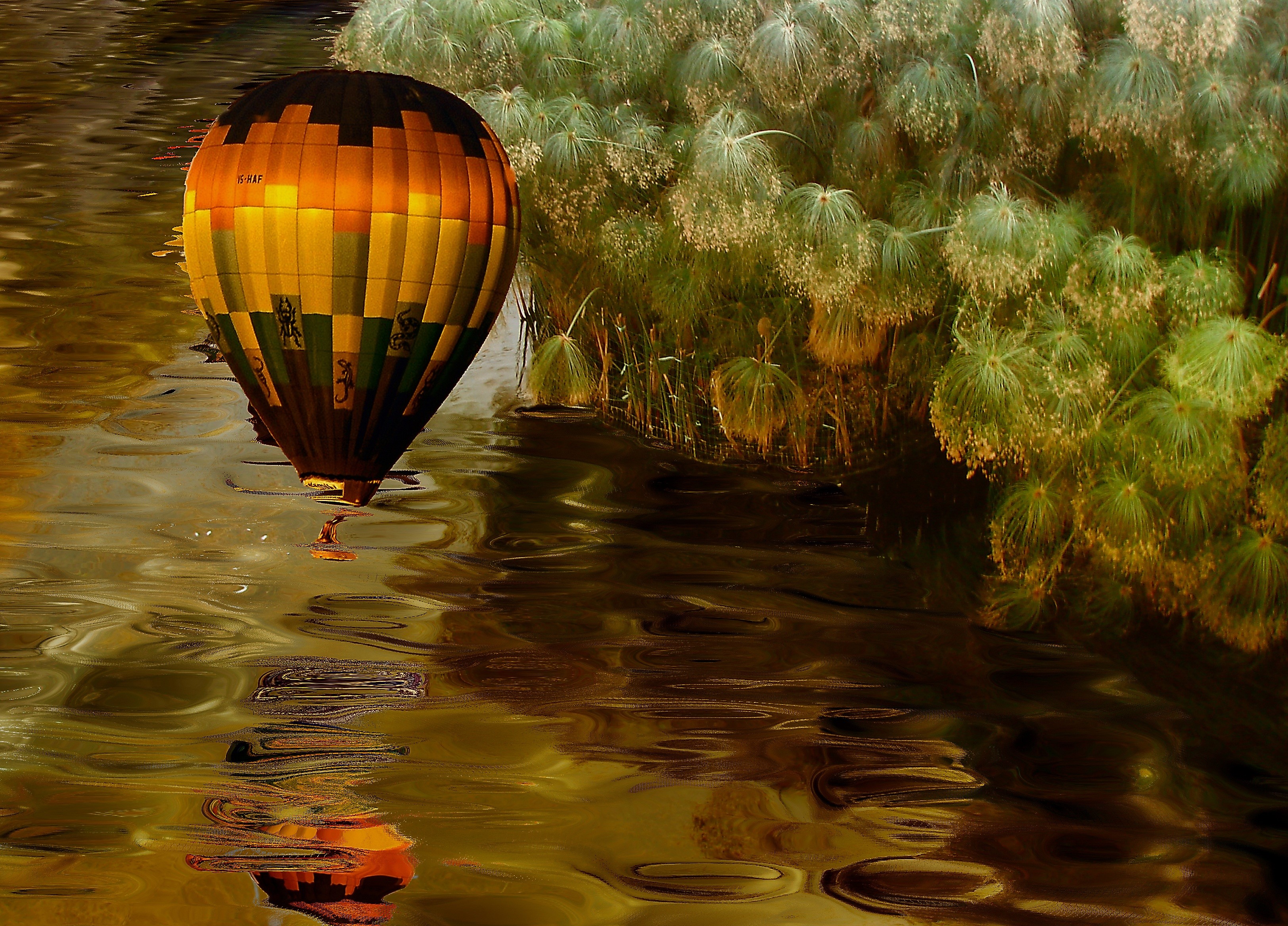 assembly, balloon, warm light, the illusion, lake, the waves, nature, plant, flying, 2K, desktop, outdoors, vegetation, low flight, adventure, imagination, HD Wallpaper