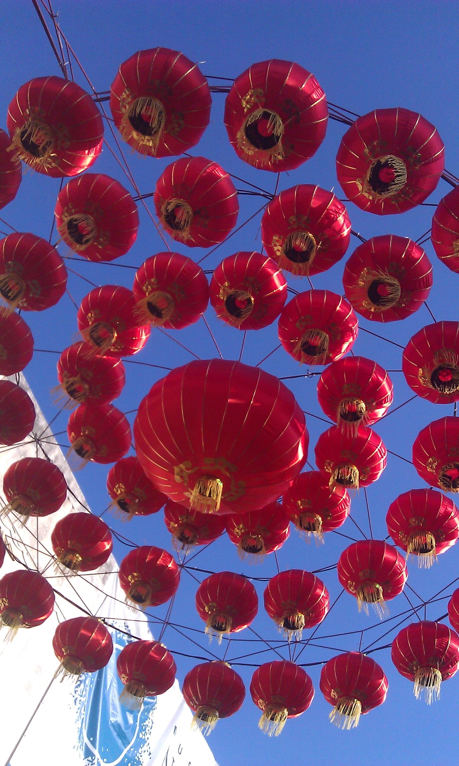 celebration, concentric, nature, chinese lantern, no people, culture, circular, hanging, chinese lantern festival, sky, Chinese Lanterns, above, multi Colored, Phone HD Wallpaper
