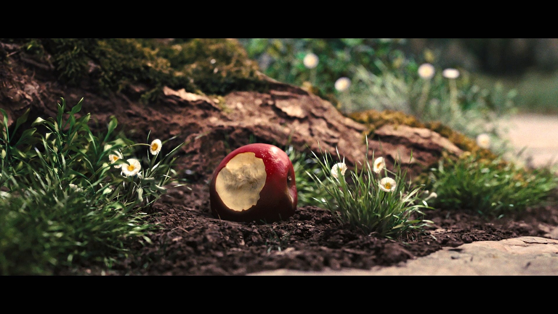 snow, action, huntsman, disney, grimm, 1080P, white, adventure, fantasy, fairy, drama, brothers, HD Wallpaper