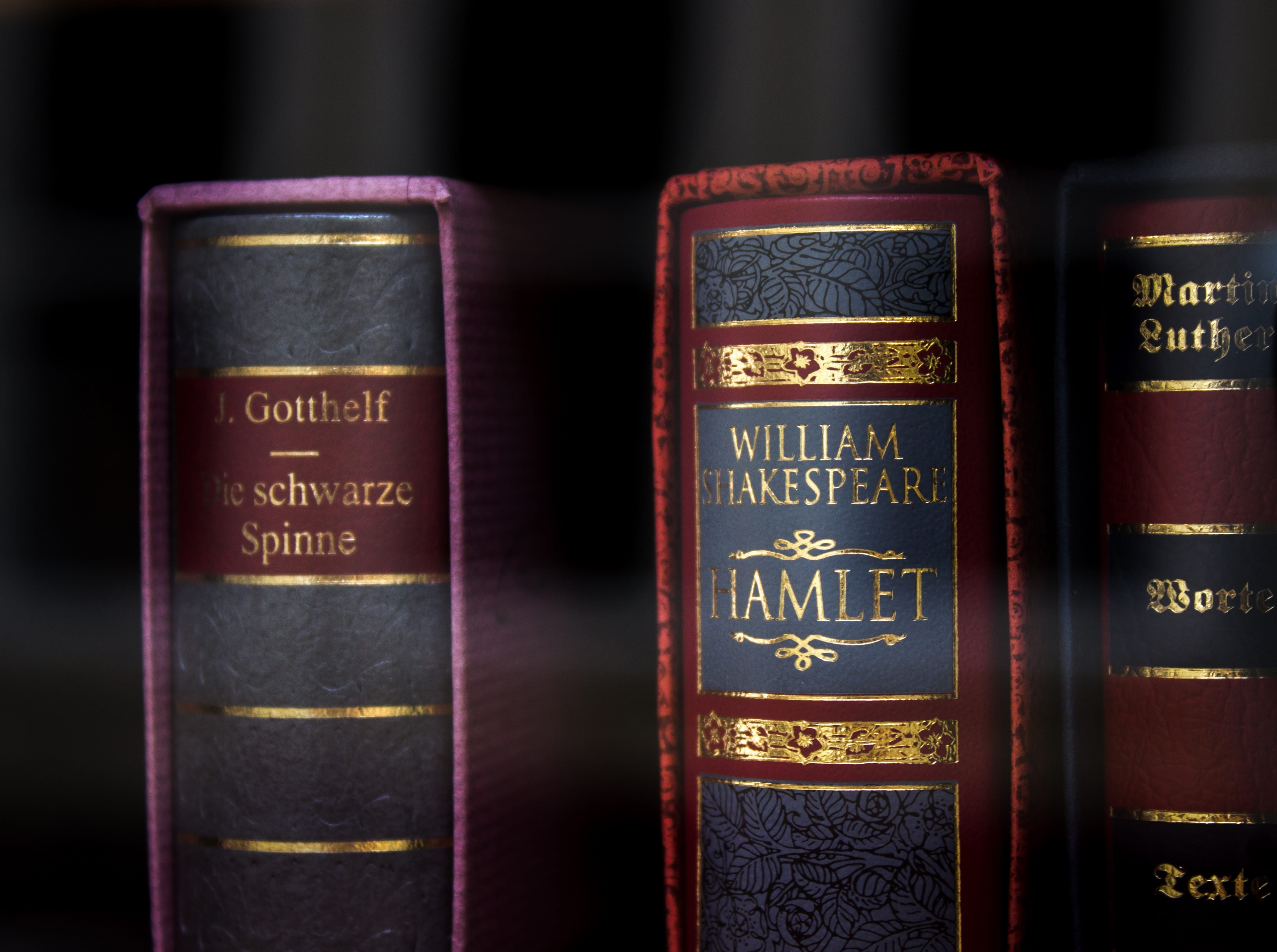 books, 4K, assorted, no people, spider, spinne, studying, text, shelf, wisdom, western script, title, goethe, antique, blue, drink, book, beverage, reading, HD Wallpaper