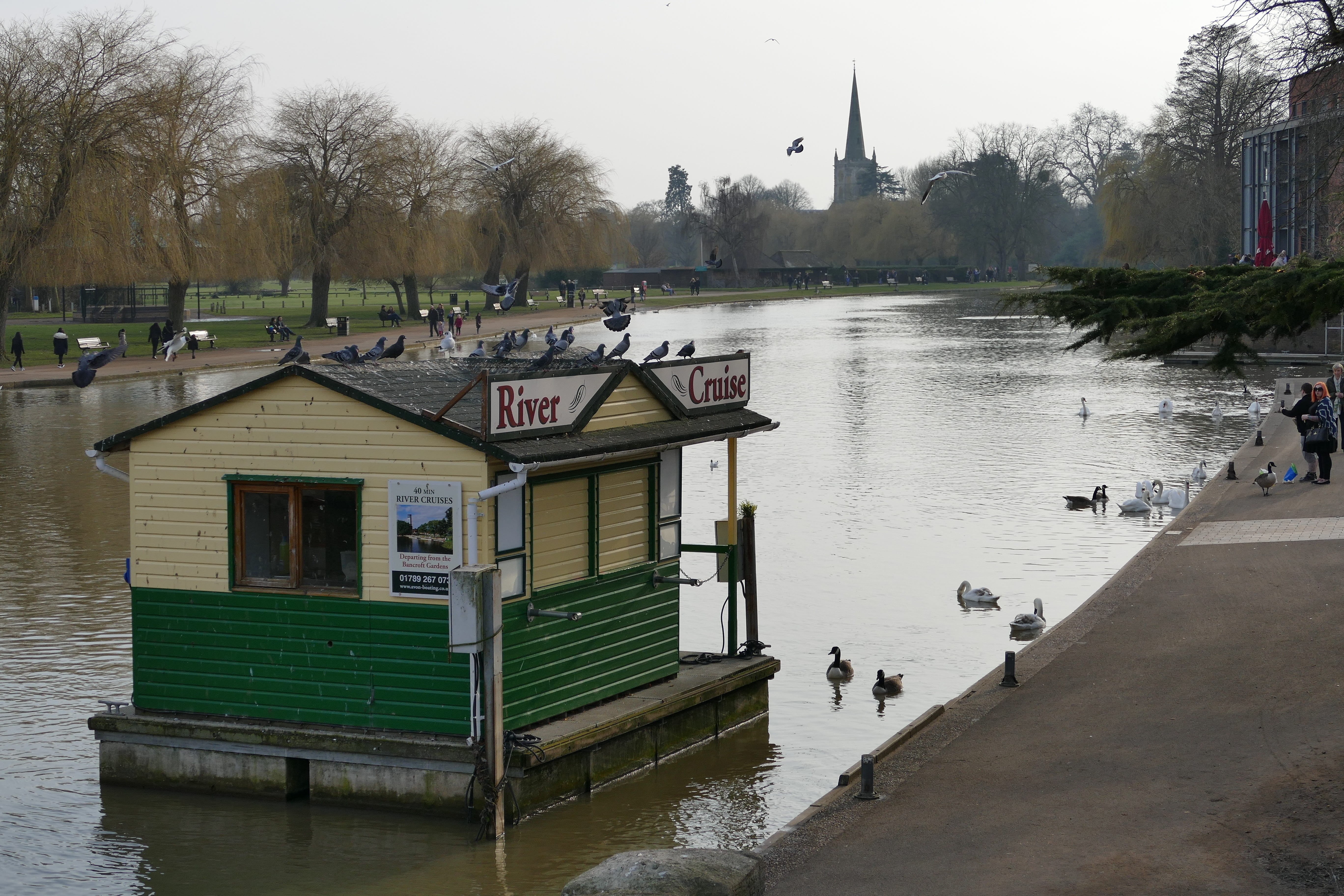 kingdom, plant, european, waterfront, stratford, poet, tree, country, sky, water, avon, outdoors, britain, europe, scene, town, incidental people, Stratford-Upon-Avon, HD Wallpaper