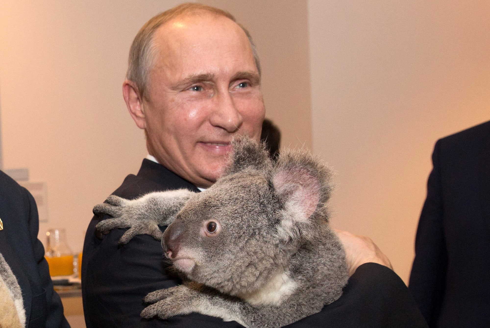 president, russian, men, vladimir, russia, 1080P, putin, man, HD Wallpaper