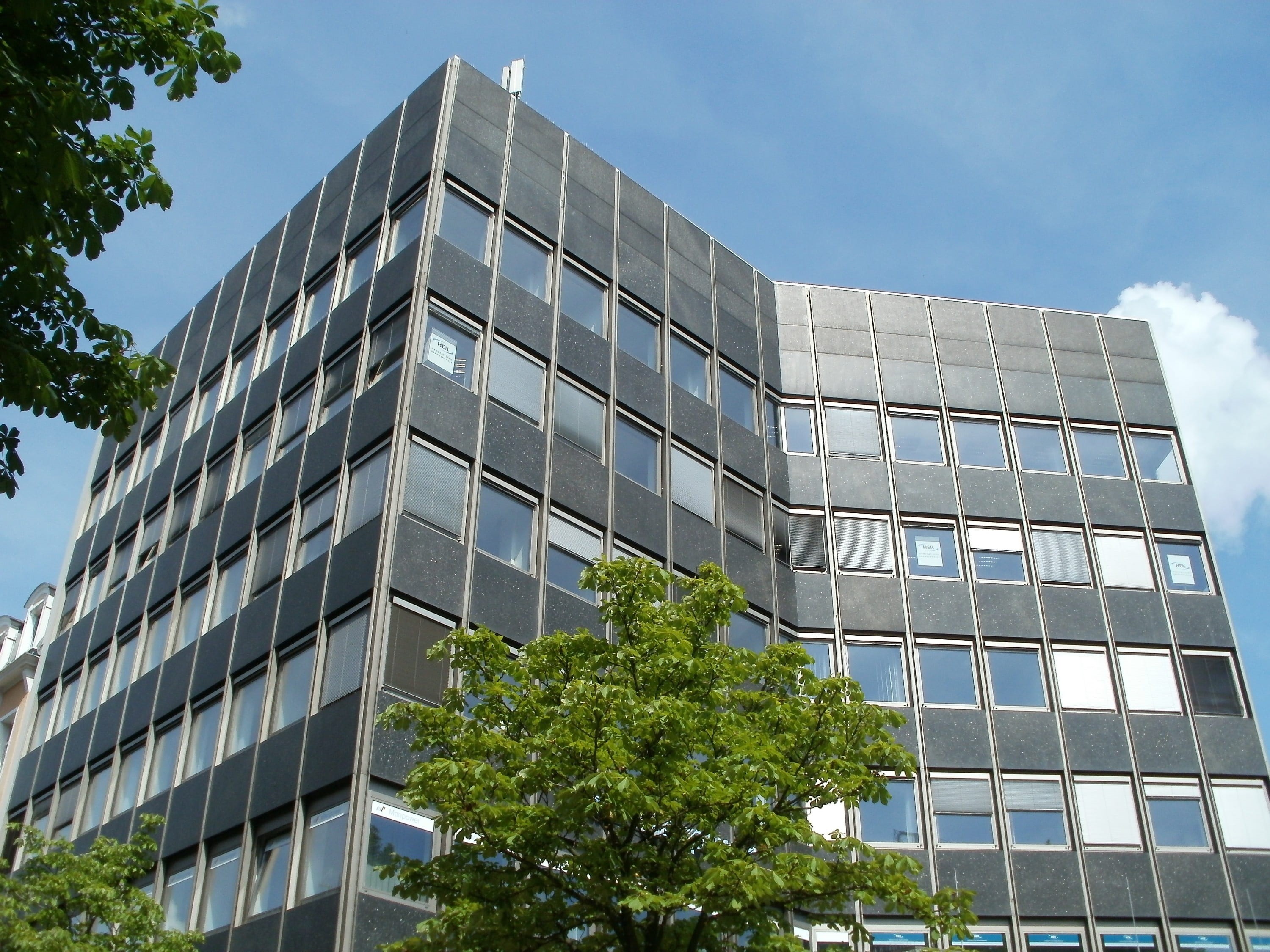 tree, window, no people, corporation, workplace, skyscraper, structure, plant, sky, glass, architecture, building, day, daytime, sunlight, built structure, HD Wallpaper