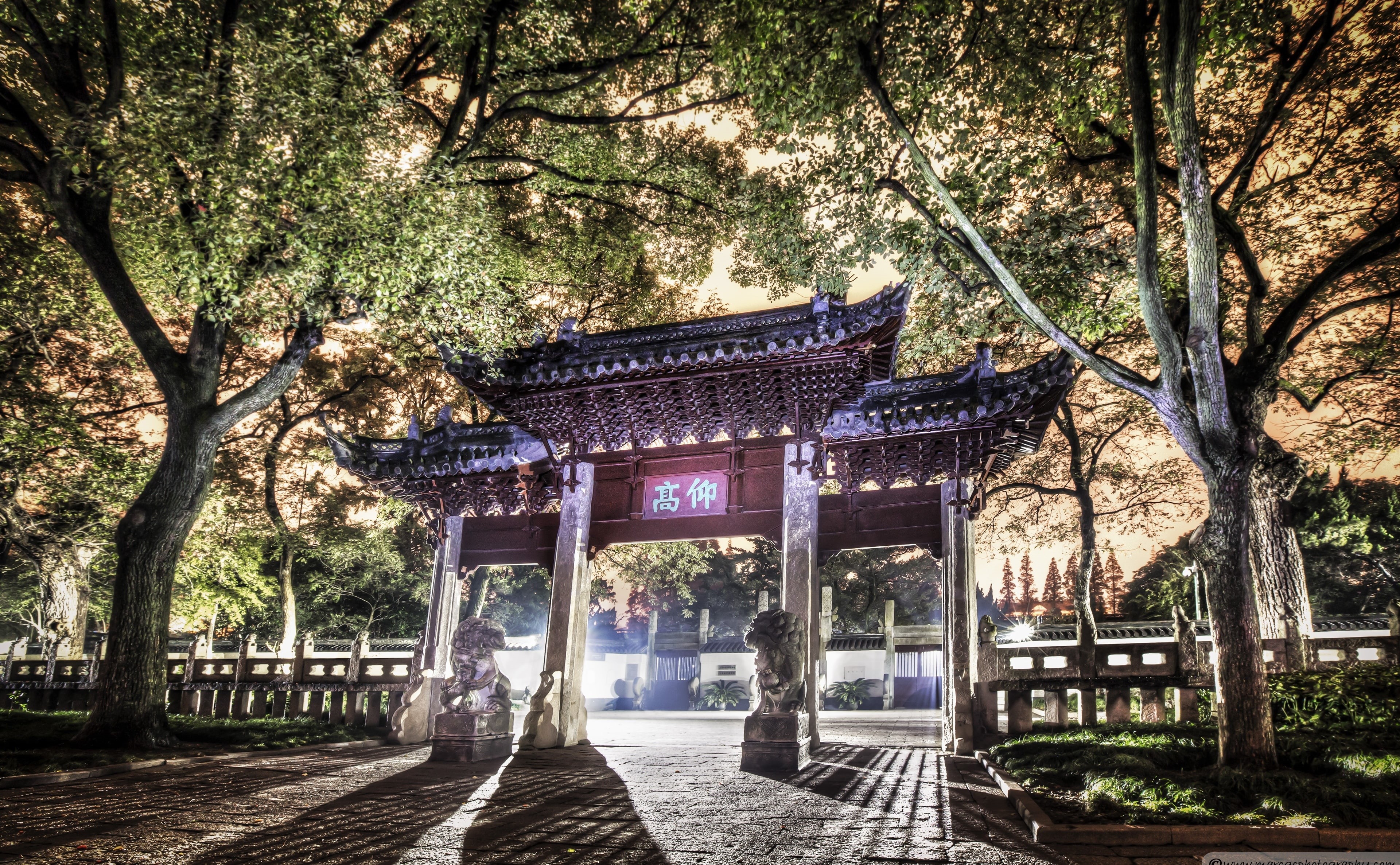outdoors, tree, religion, temple, white, nature, architecture, confucius, arc, gray, branch, day, jiading, shanghai, building exterior, park, built structure, HD Wallpaper