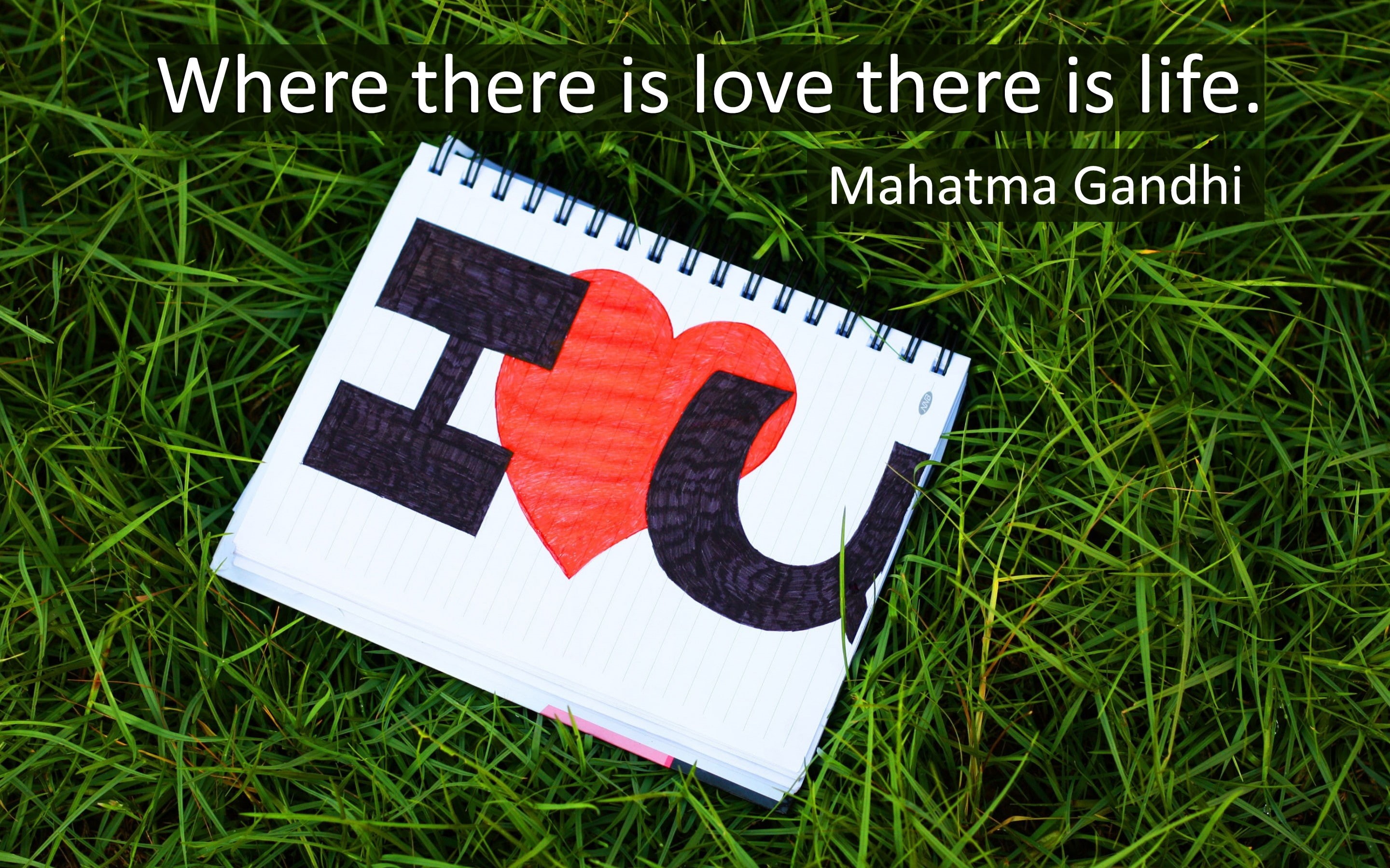 love, mahatma, 2K, gandhi, life, HD Wallpaper