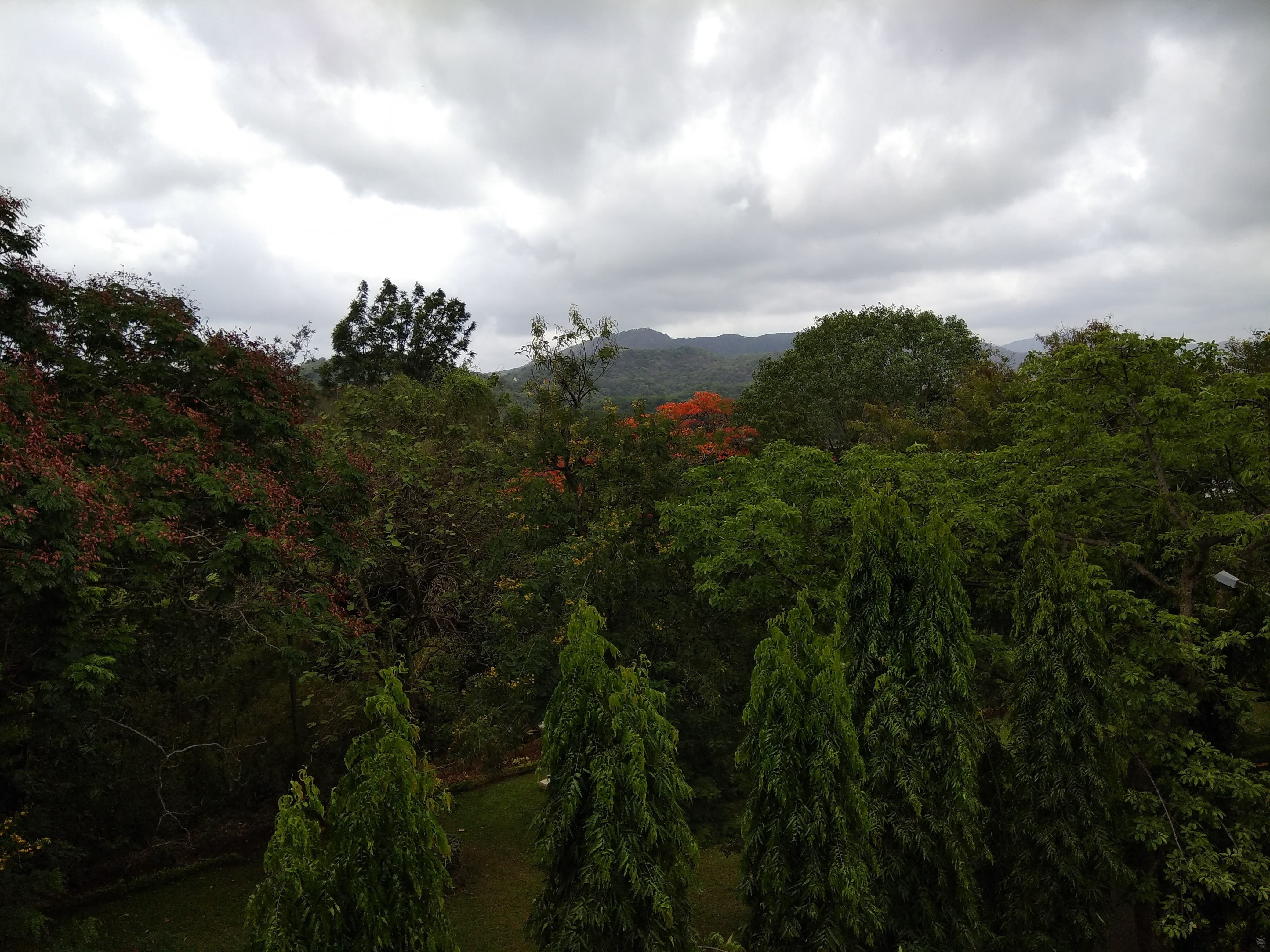 nature, tranquility, mumbai, sky, green color, no people, environment, growth, green, cloud - sky, 4K, beauty in nature, sanjay gandhi national park, land, HD Wallpaper