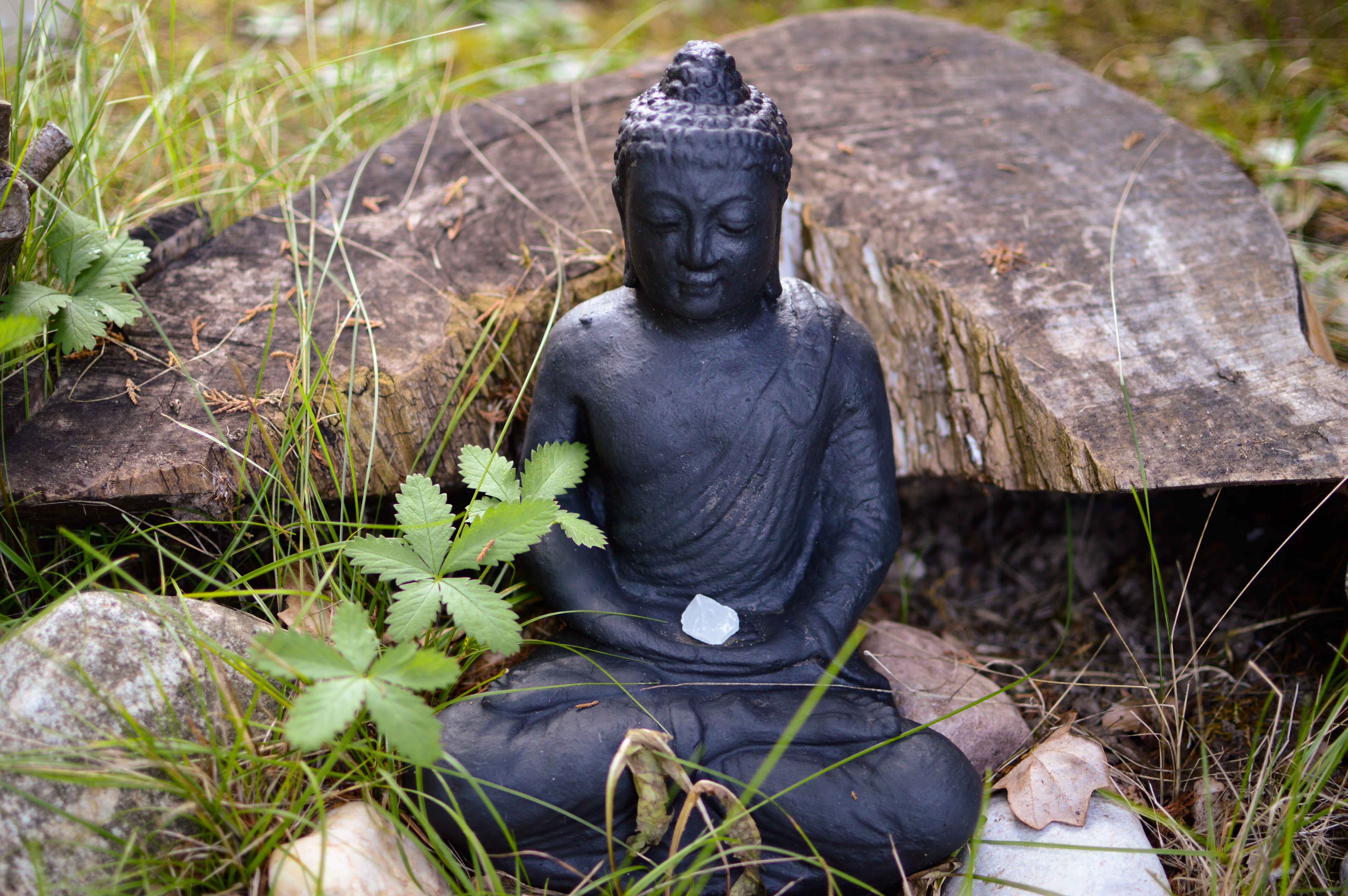 religion, spirituality, land, field, 5K, creativity, day, representation, male likeness, belief, plant, golden buddha, outdoors, grass, human representation, HD Wallpaper