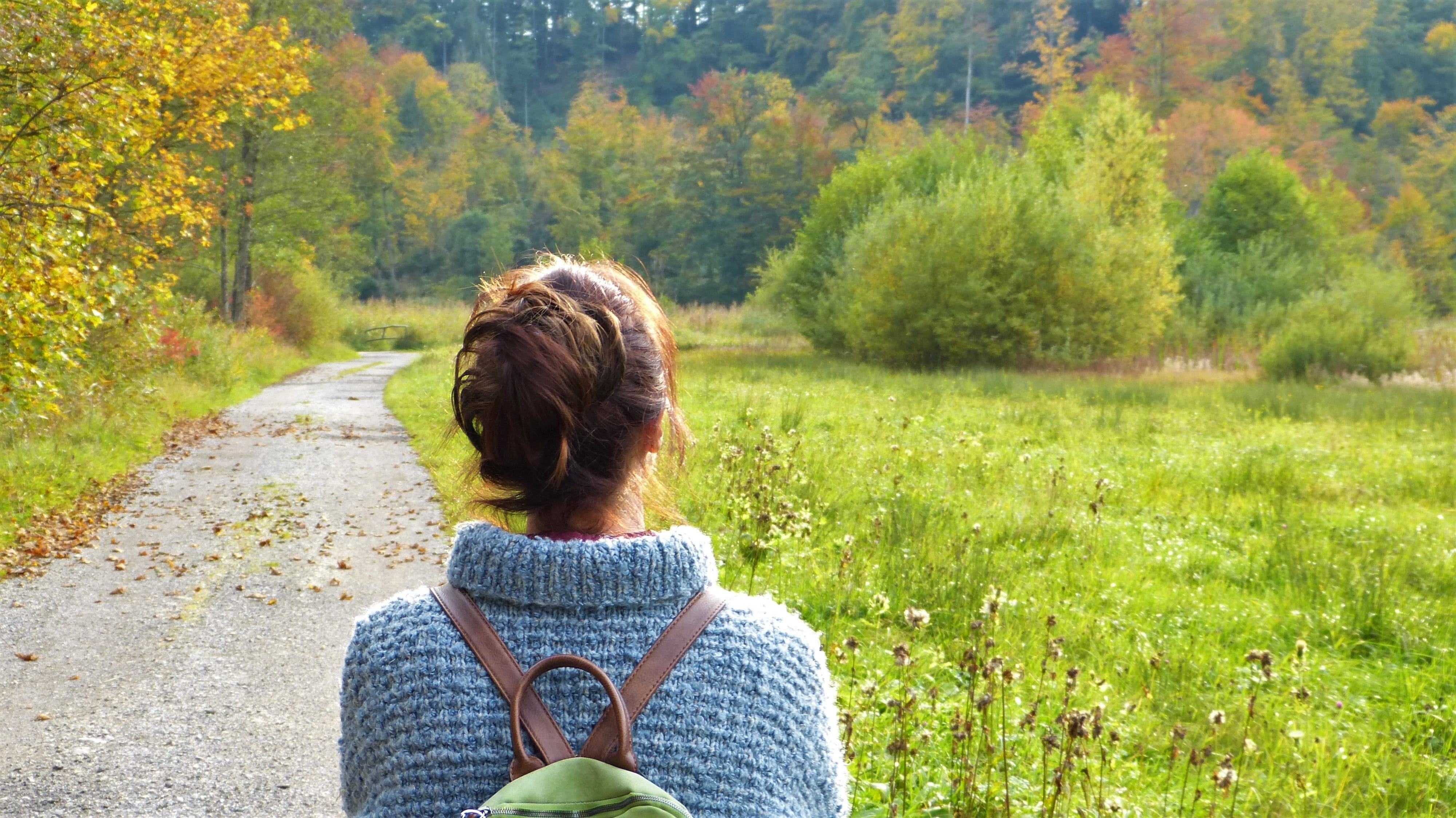 hiking, dom, human, backpack, alone, bless you, prevent, growth, green color, movement, one person, out, immune system, beauty in nature, autumn, away, HD Wallpaper