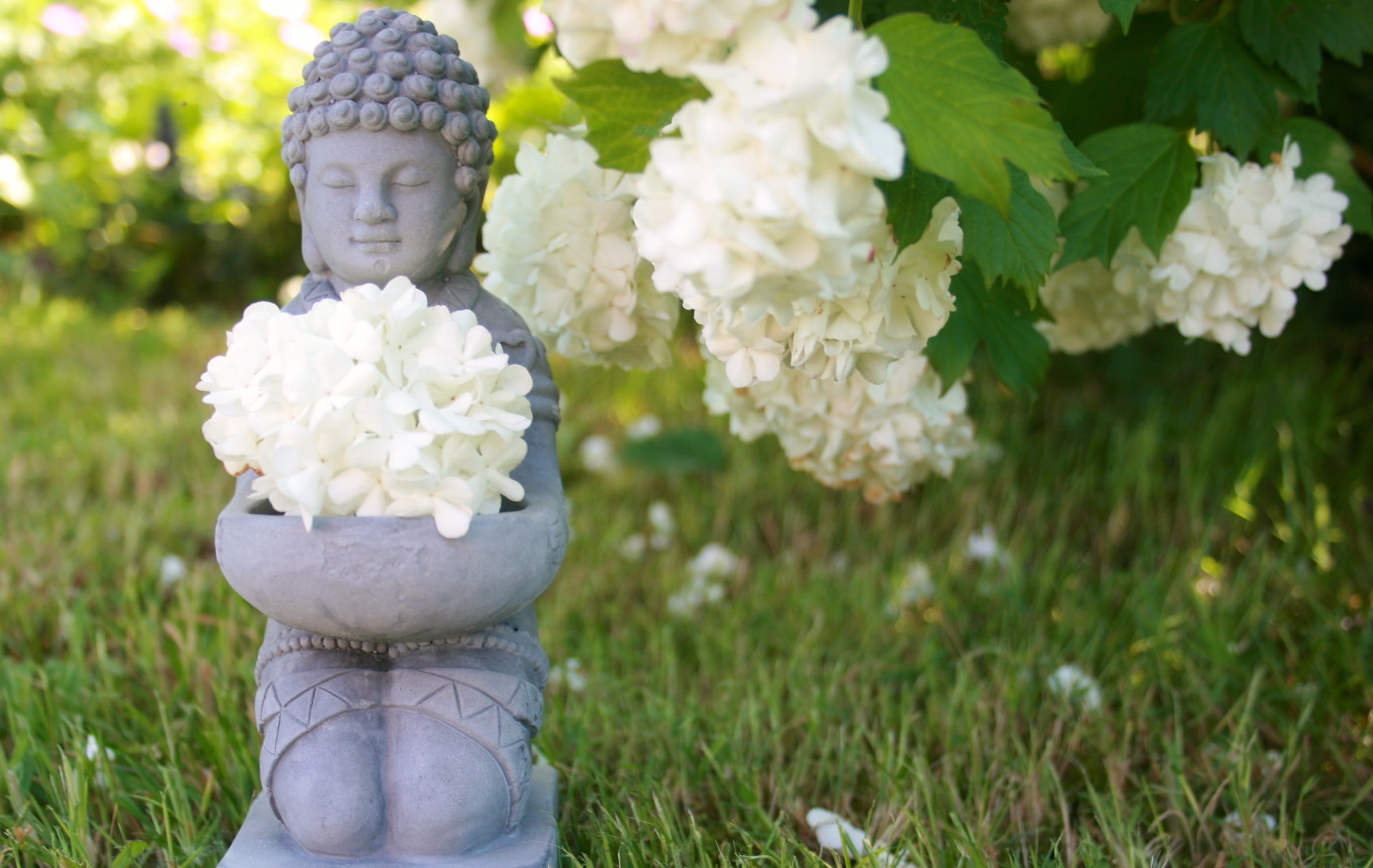 meditation, spirituality, statue, yoga, outdoors, belief, relaxation, zen, day, green color, plant, wellness, no people, grass, flower, white, flowers, HD Wallpaper