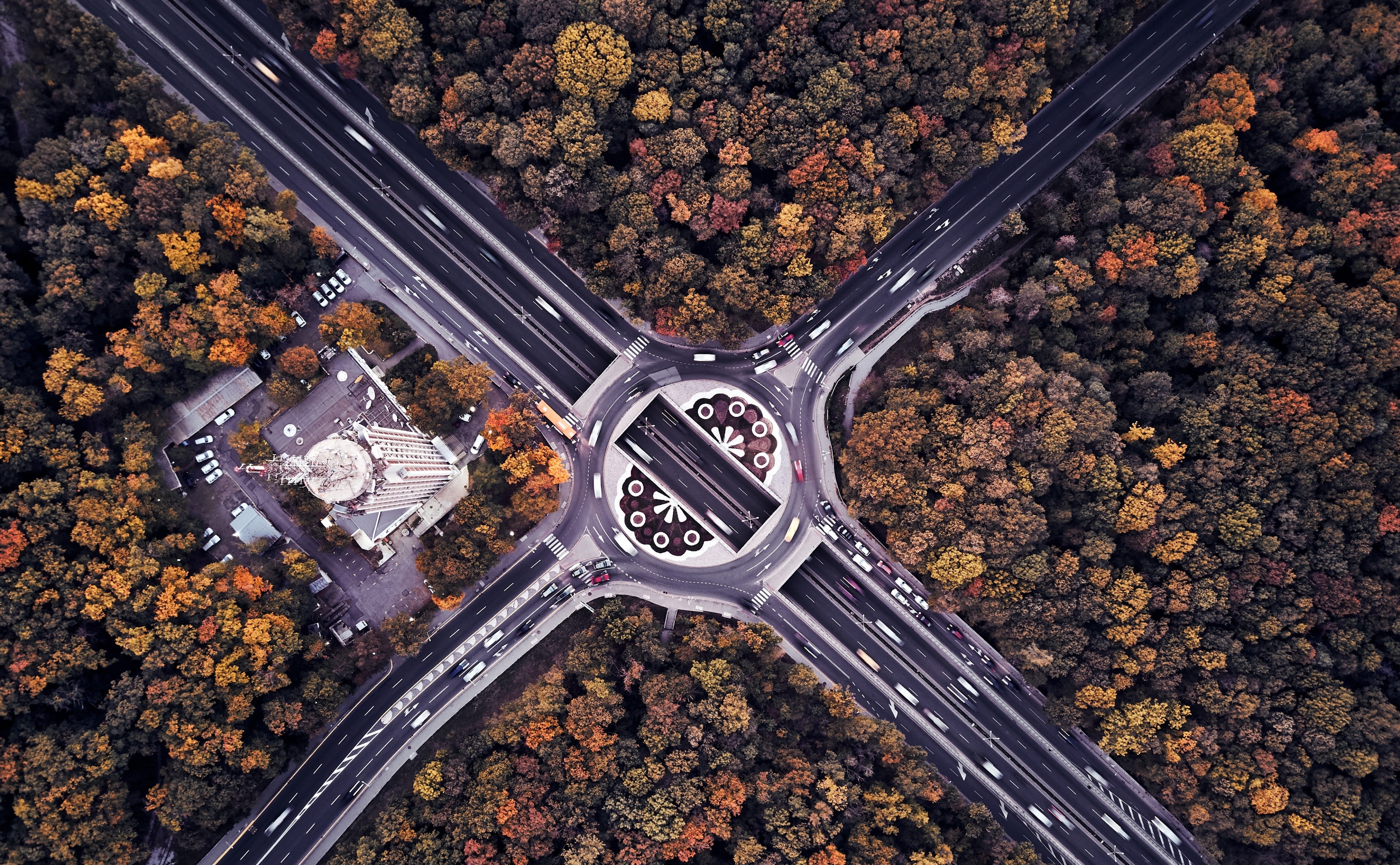 Bulgaria, Road, plant, city, Europe, Highway, sofia, Fall, Autumn, no people, transportation, Nature, travel destinations, roundabout, growth, orange color, HD Wallpaper