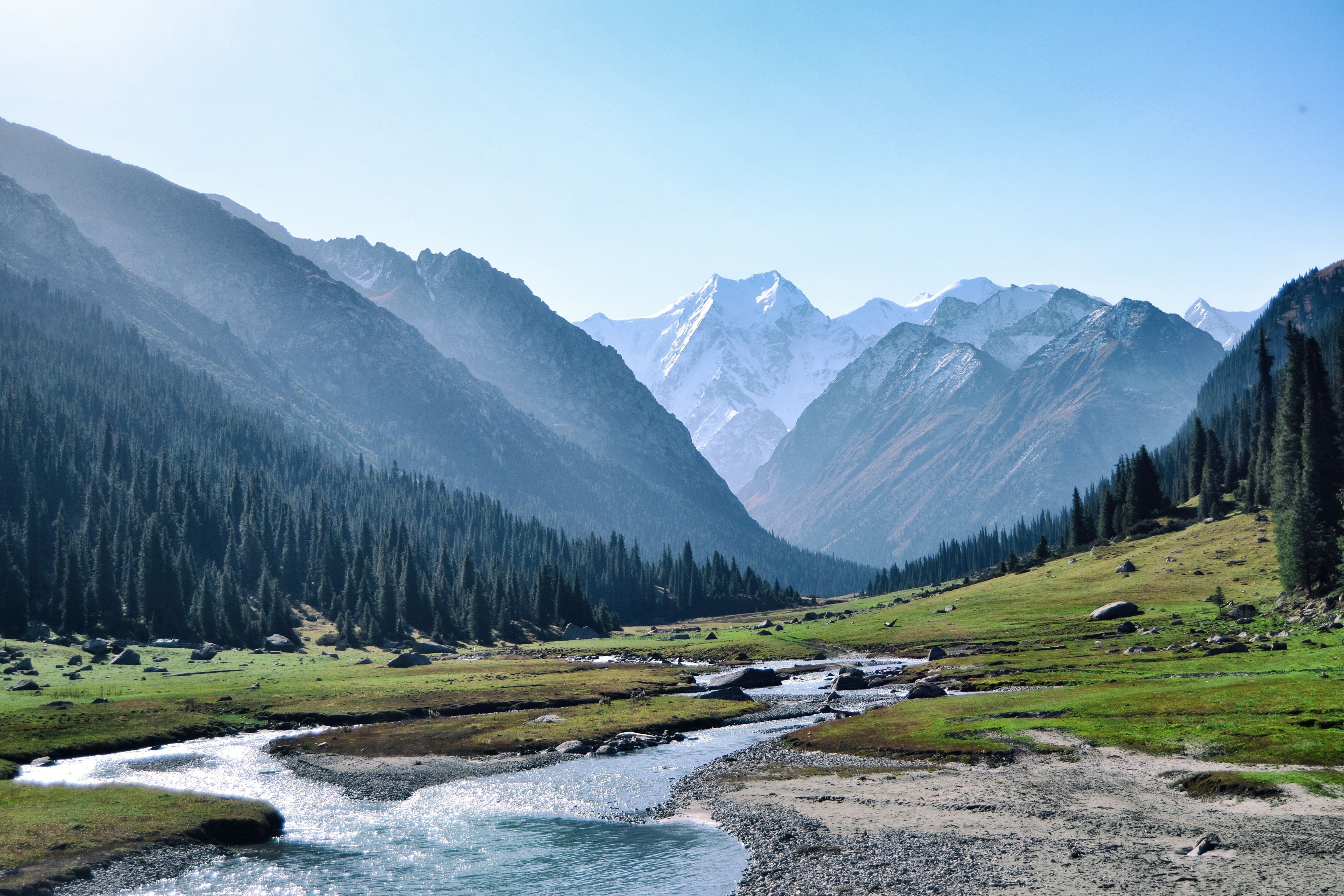 remote, kizilsu, flowing water, mountains, scenics - nature, pine woodland, plant, environment, mountain, trees, beauty in nature, mountain range, tranquility, HD Wallpaper