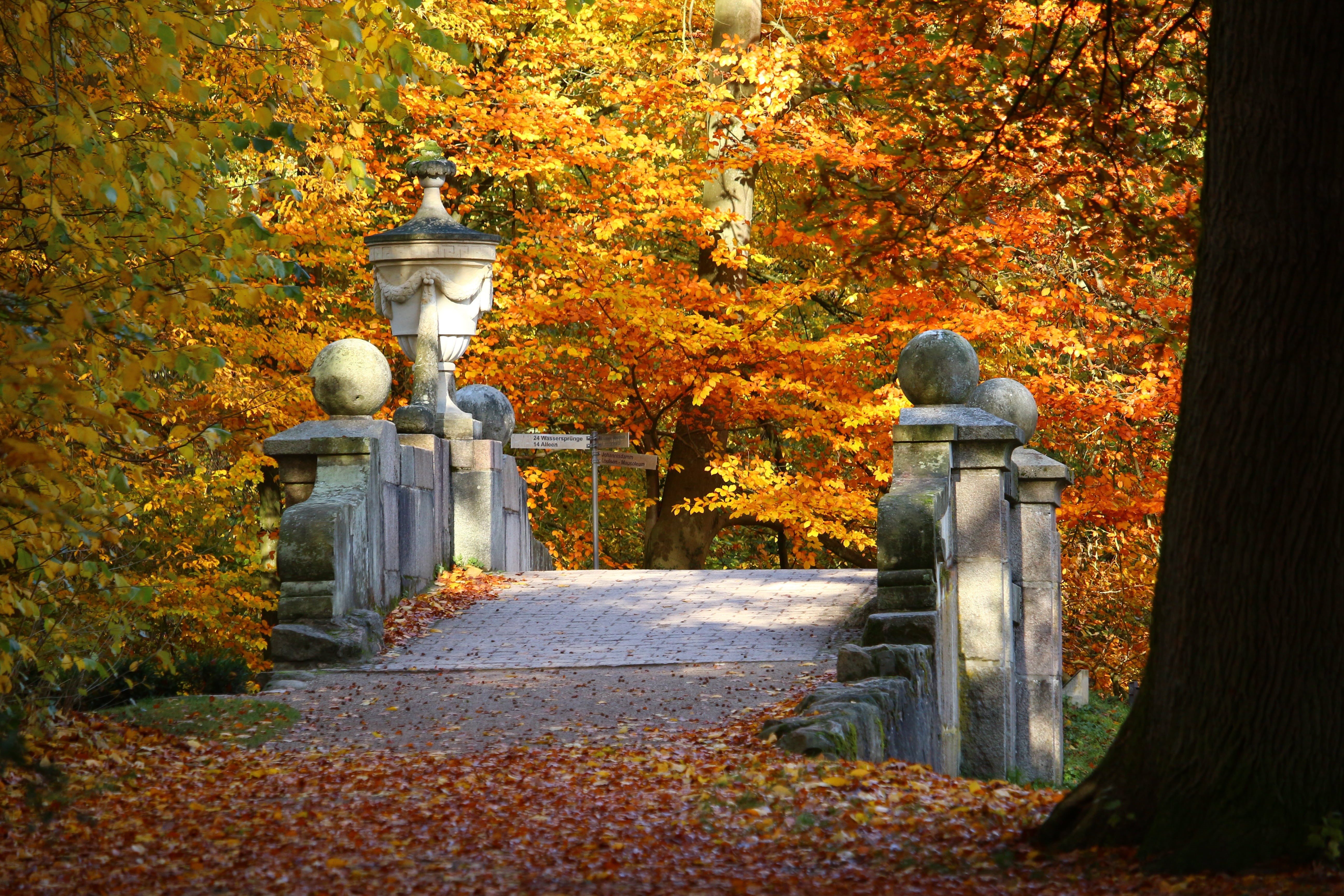 gray, october, architecture, day, change, yellow, fall foliage, statue, tranquility, orange Color, sculpture, places of interest, vase, tree, no people, HD Wallpaper
