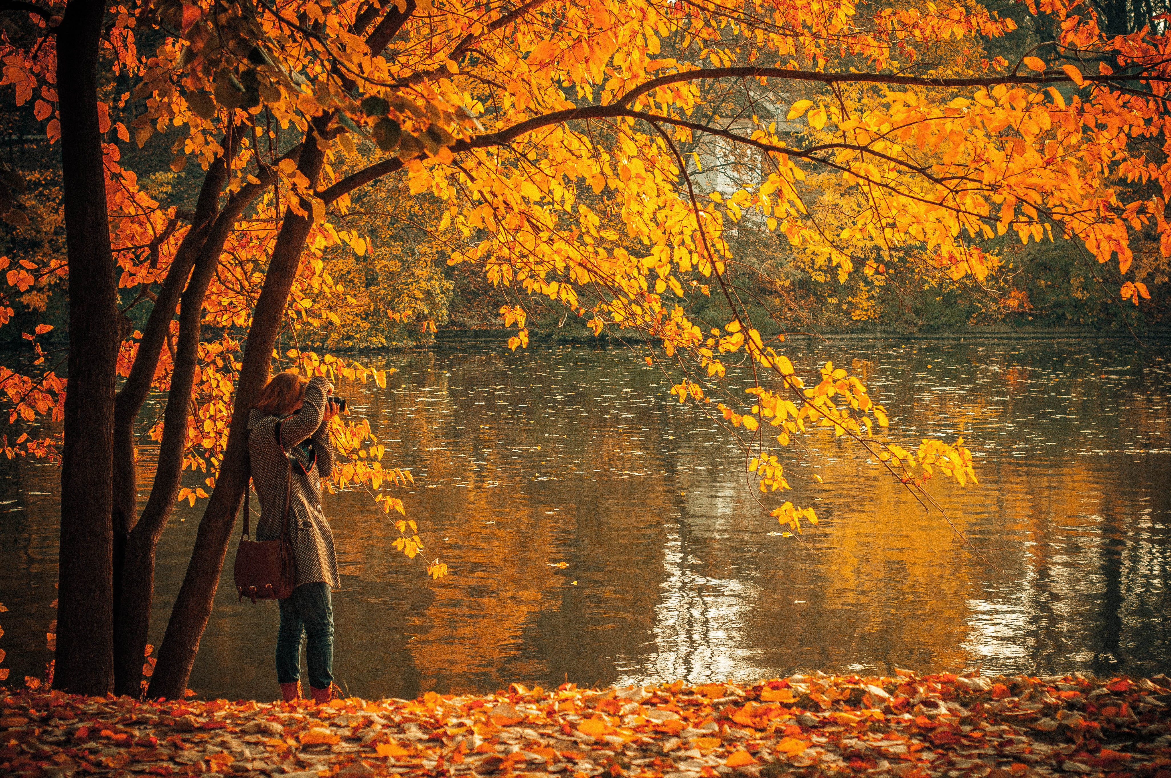 autumn collection, day, plant, water, one person, women, autumn, park - Man Made Space, leaves, photography, nature, outdoors, change, beauty in nature, HD Wallpaper