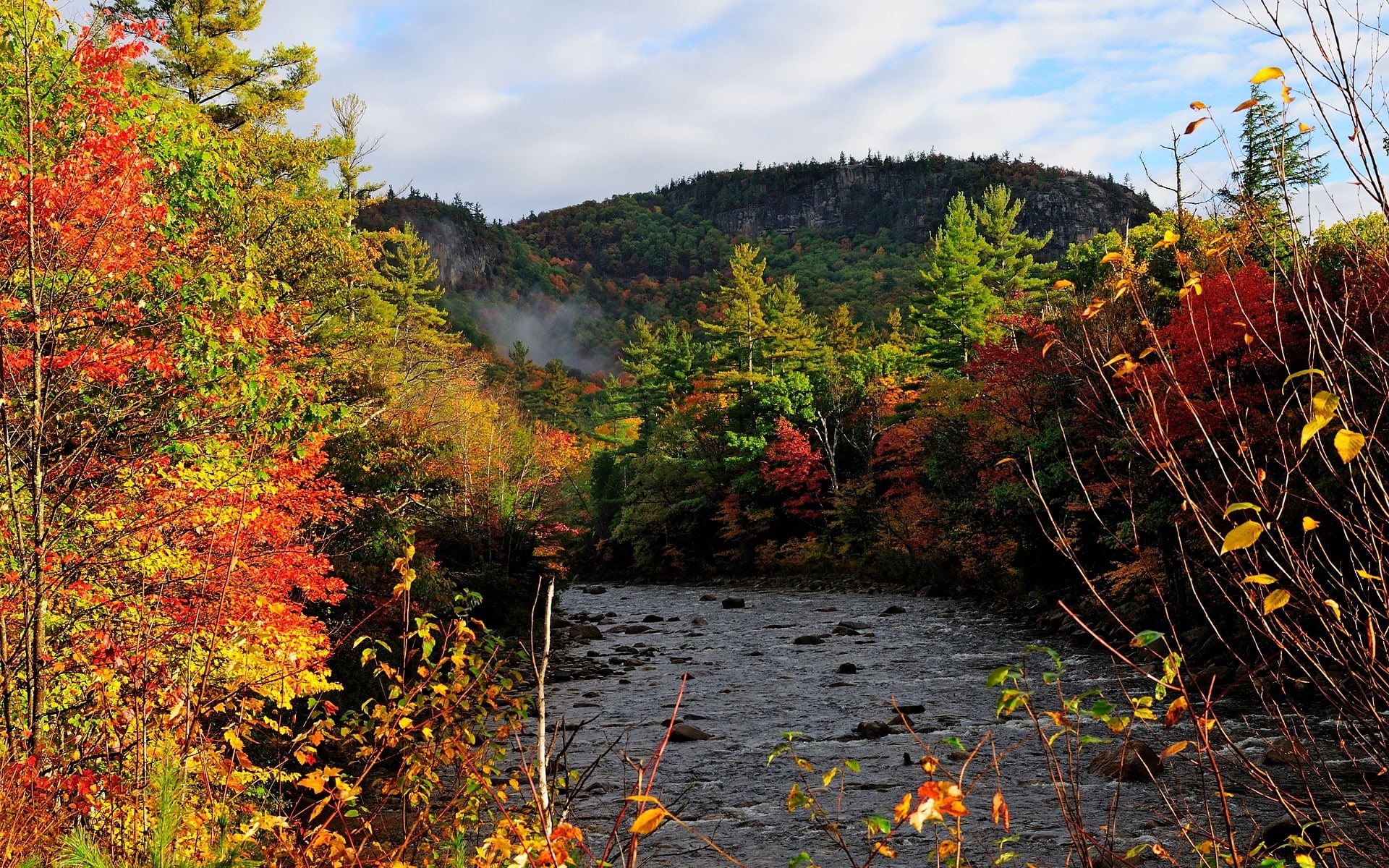 tranquil scene, maple Tree, flowing water, tranquility, autumn, red, colors, land, color Image, japanese Fall Foliage, green Color, nature, trees, growth, HD Wallpaper