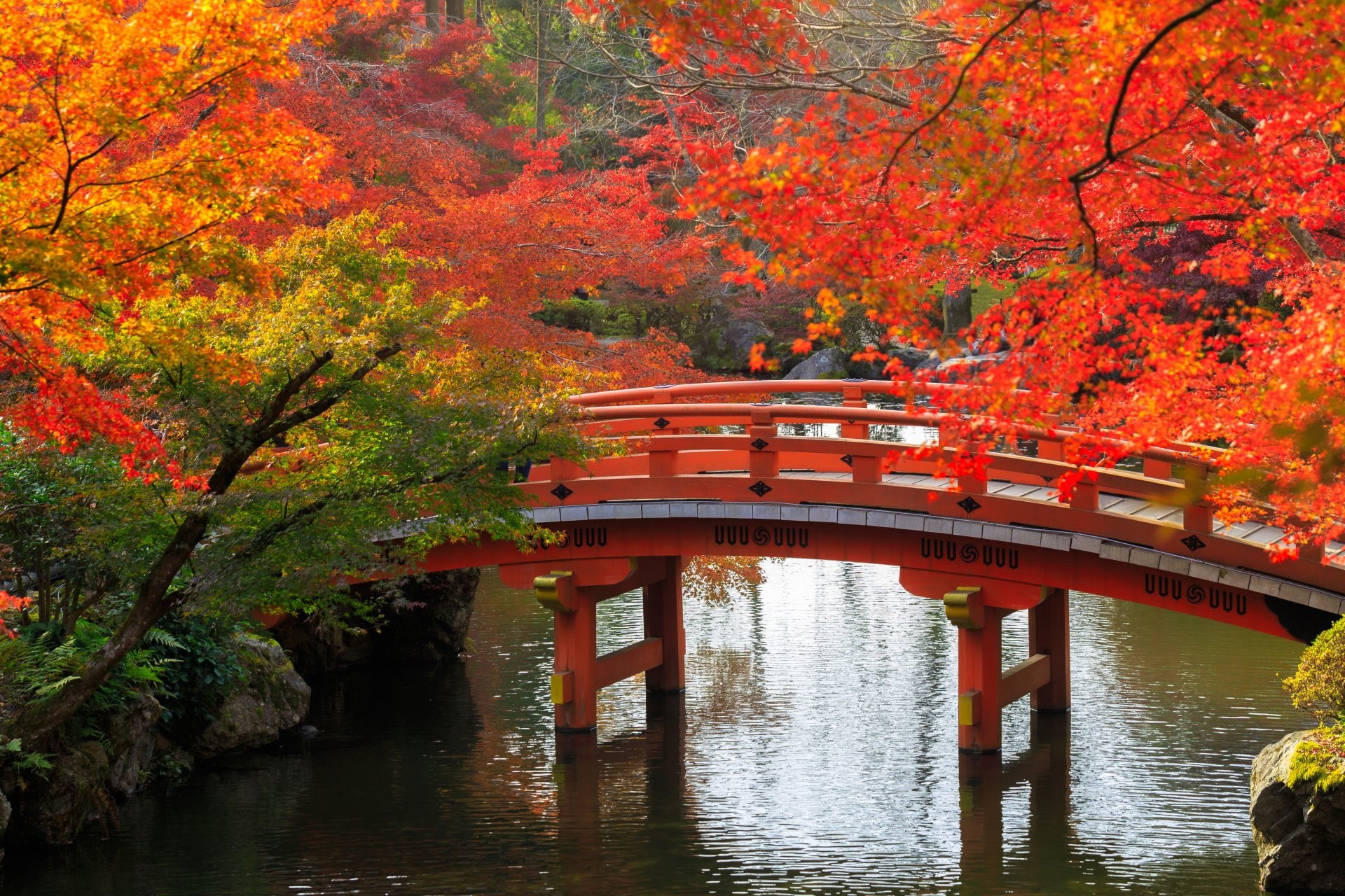 1080P, Man Made, Japanese Garden, Foliage, Bridge, Fall, HD Wallpaper