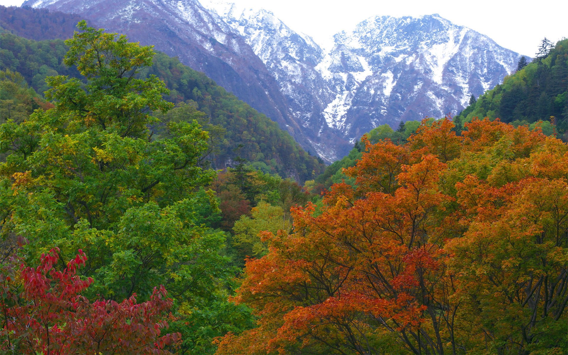 mountain peak, yellow, change, multi Colored, season, autumn collection, tranquil scene, nature, green Color, autumn, tourism, environment, famous Place, HD Wallpaper