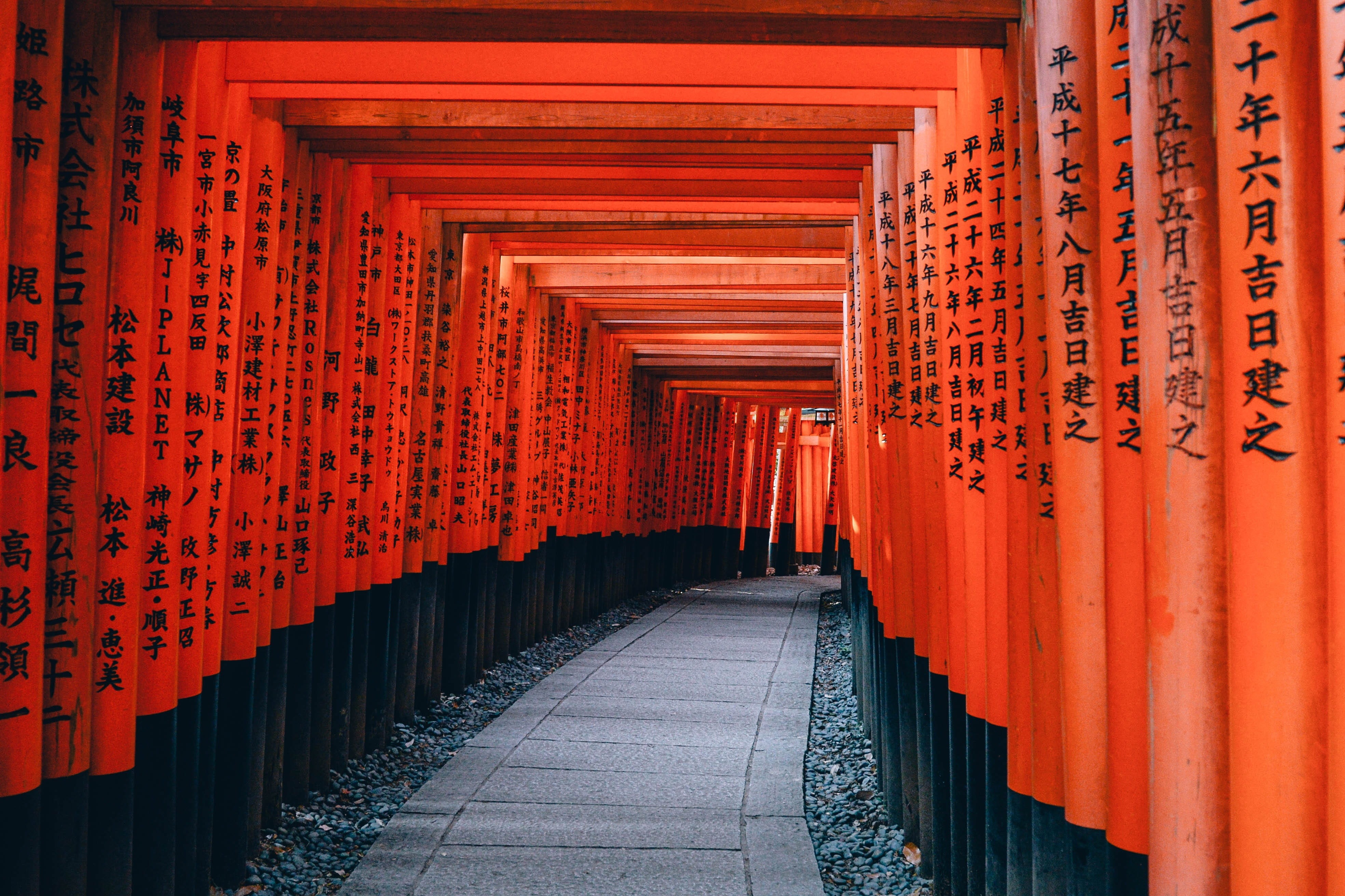 no people, text, the way forward, kyoto, religion, red, non-western script, 4K, built structure, direction, orange, script, shinto, black, pathway, in a row, HD Wallpaper