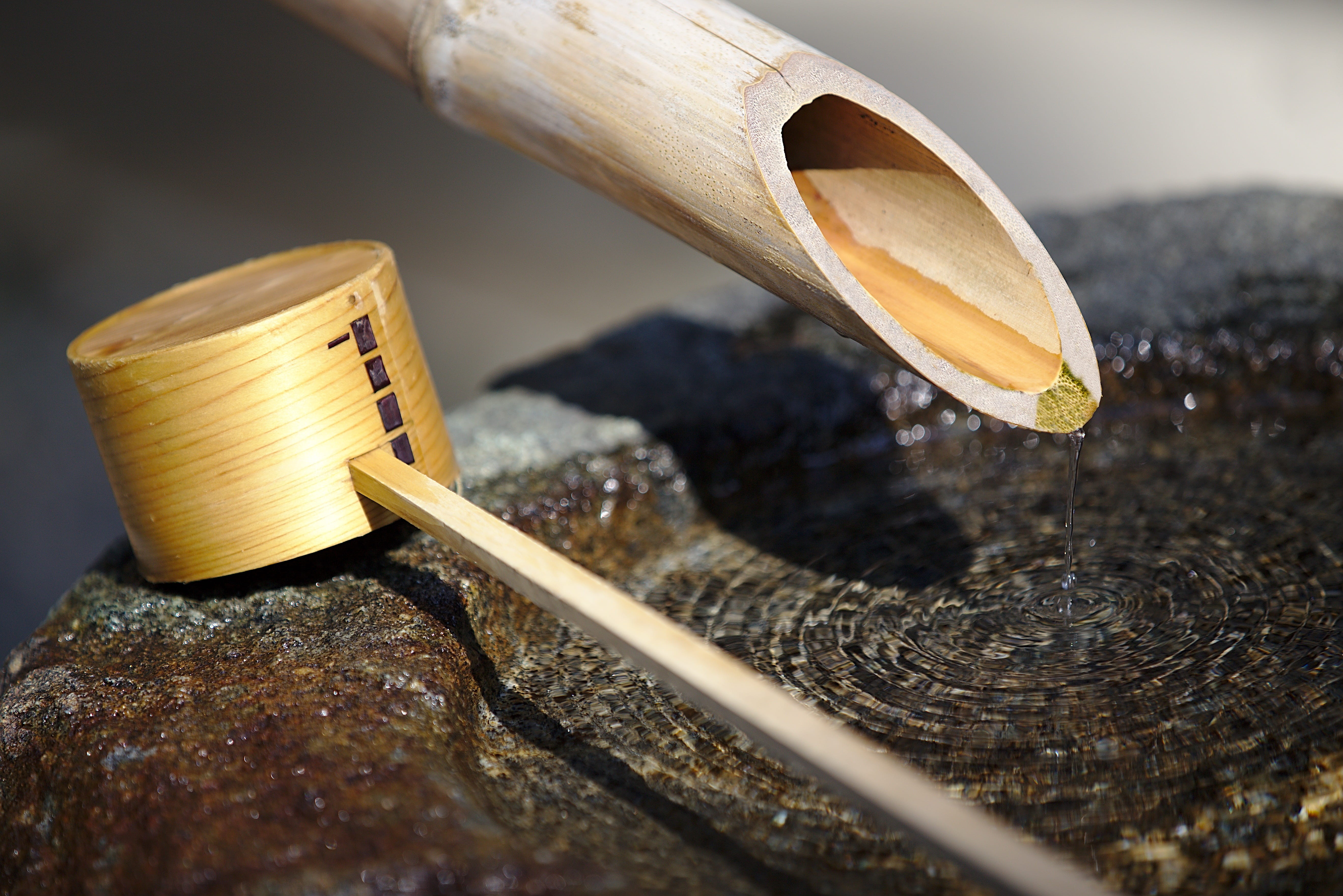 5K, selective focus, food, spoon, work tool, asian food, household equipment, japan, close-up, food and drink, cleaning, fountain, shinto, wood - material, HD Wallpaper