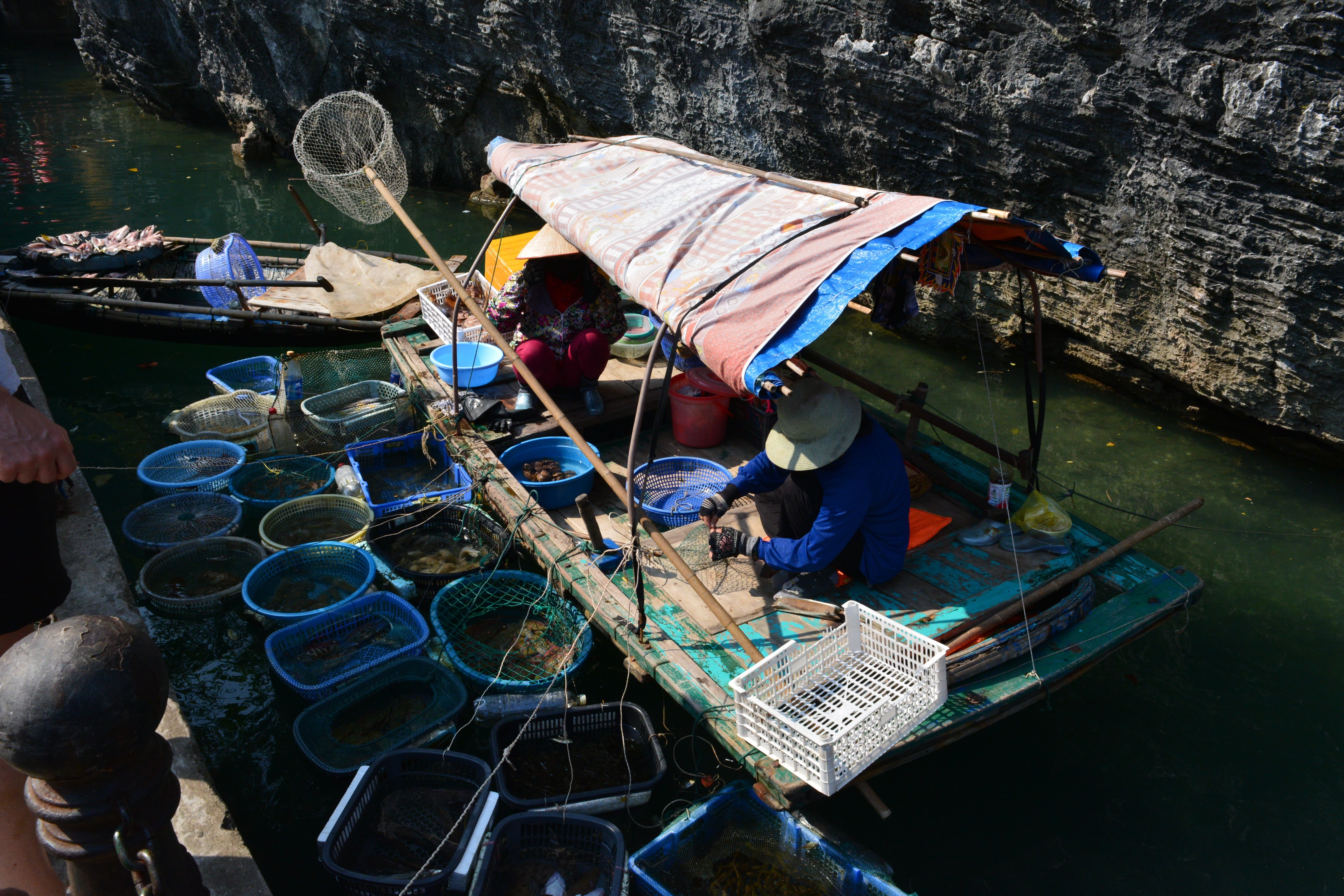people, water, real people, travel, fishing net, for sale, outdoors, hat, ha long bay, high angle view, nautical vessel, transportation, fisherman, vietnam, HD Wallpaper