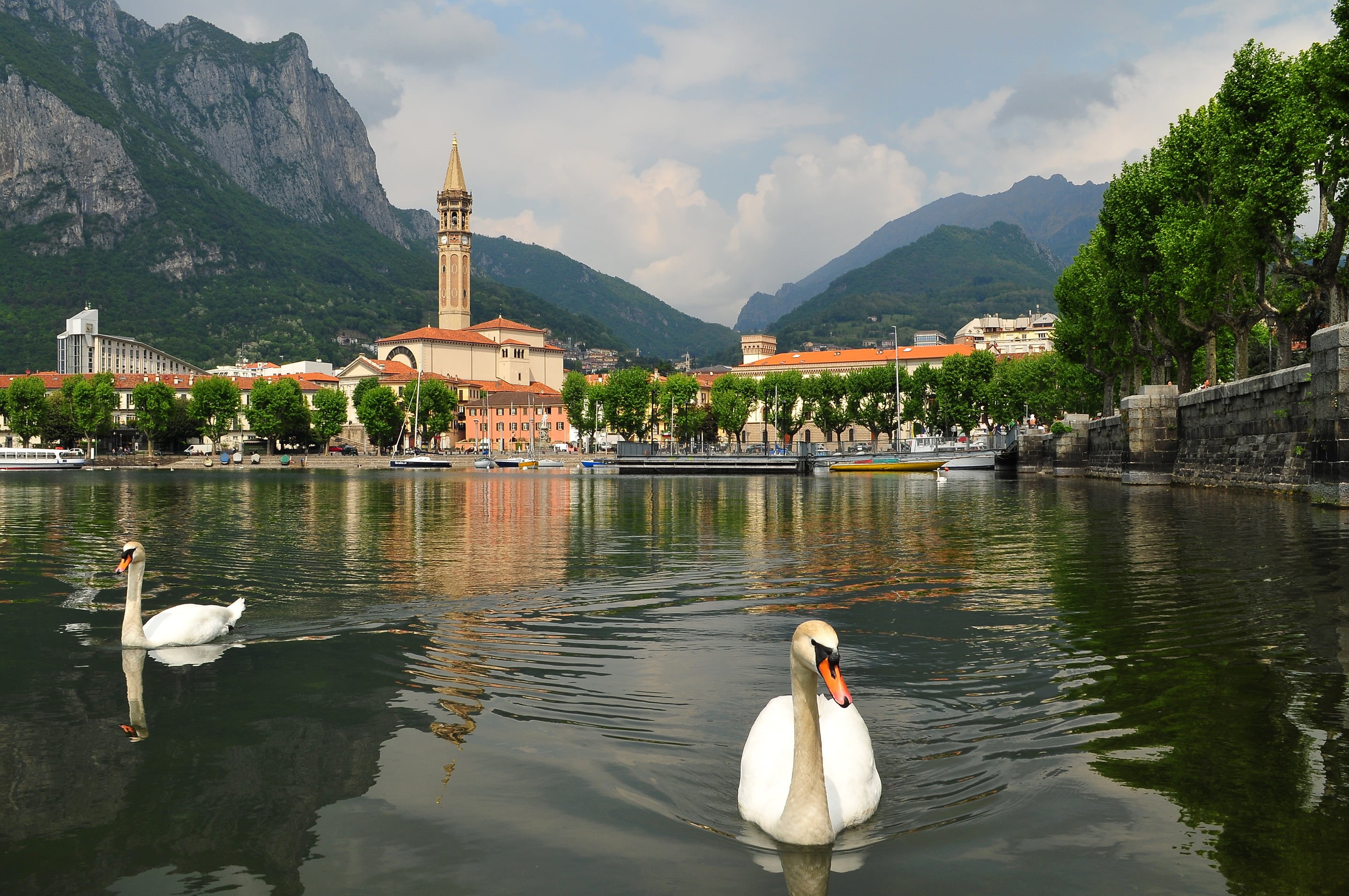 2K, Swan, lake Como, mountains, the sky, animal, swimming, the city, pticu, outdoors, architecture, Italy, Lecco, animal themes, mountain, Lombardy, group of animals, HD Wallpaper