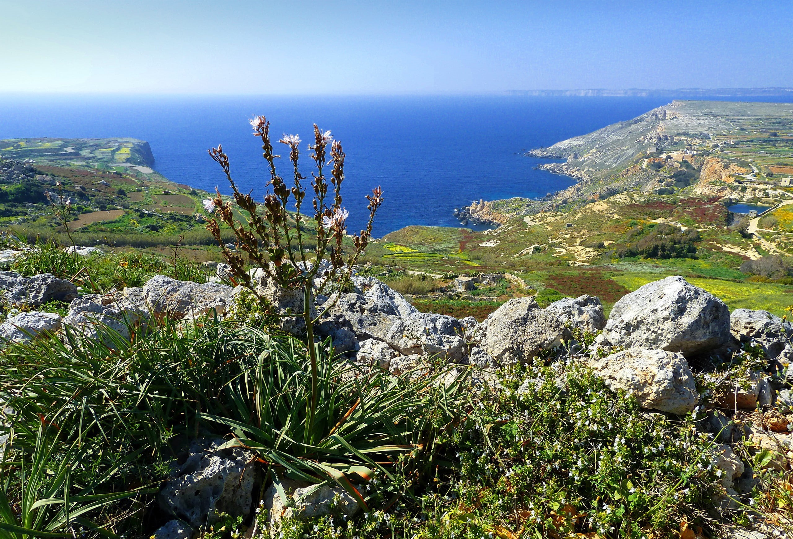 rocks, sky, Malta, sea, plant, stones, 2K, bay, HD Wallpaper