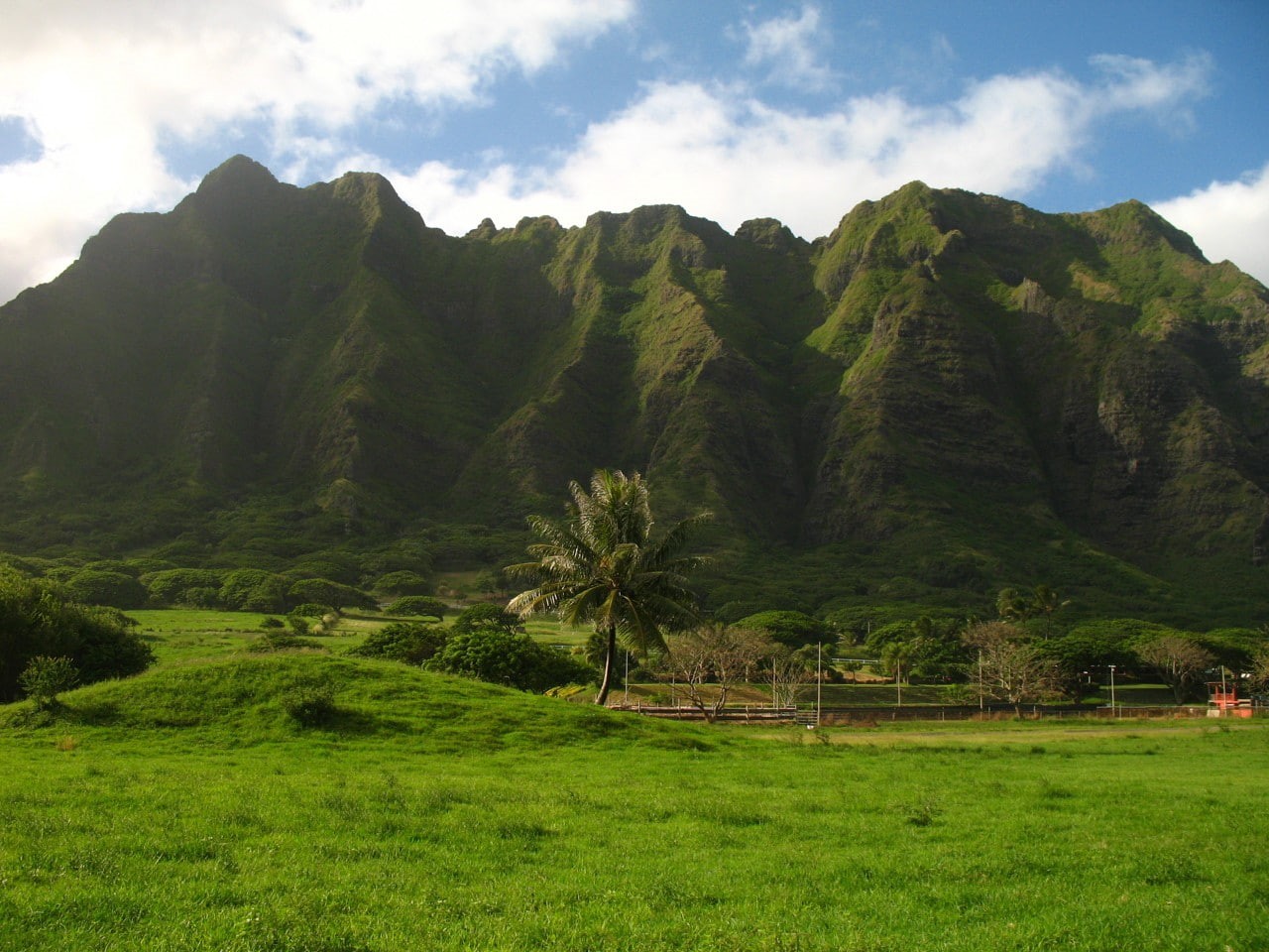 tranquility, 720P, sky, tree, growth, island, beauty in nature, land, green color, field, photography, grass, mountain, oahu, tranquil scene, landscape, HD Wallpaper
