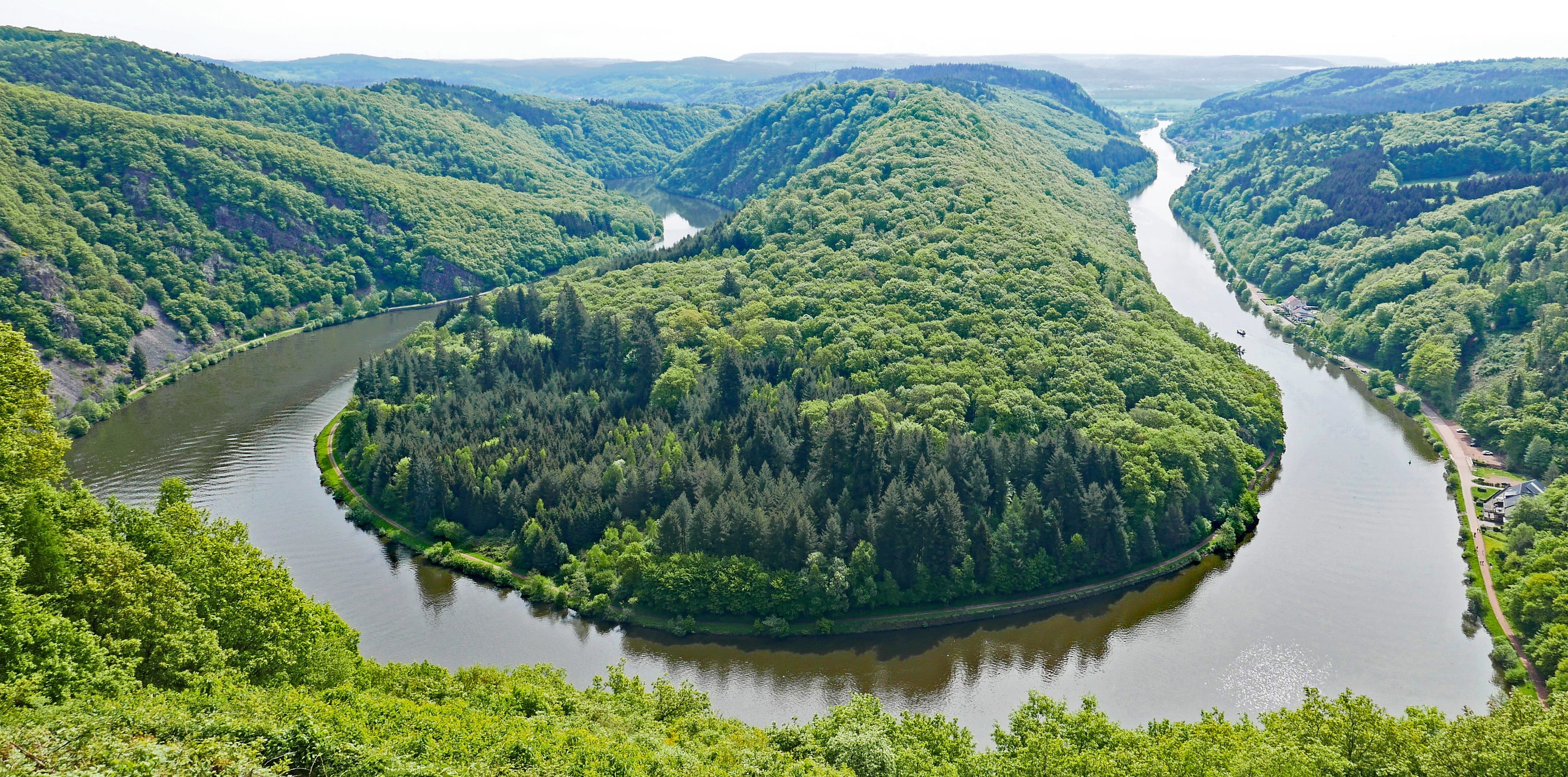 green, landscape, no people, mettlach, trees, environment, river, viewpoint, tree, high angle view, mountain, 4K, panorama, leaf, plant, tranquility, ferry, HD Wallpaper