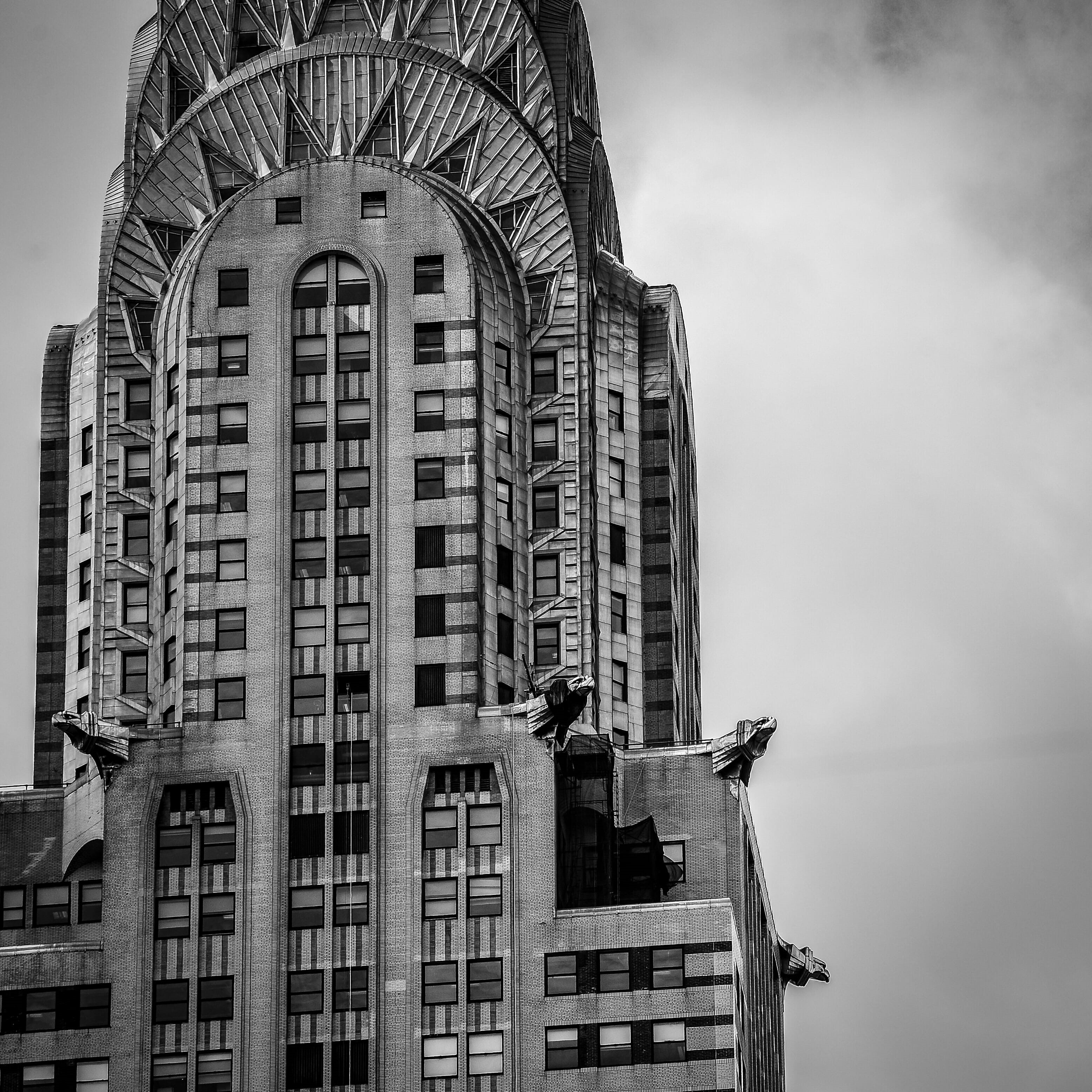 low angle view, office building exterior, no people, day, chrysler building, architecture, office, nature, outdoors, ny, 2K, windows, art deco, window, Phone HD Wallpaper