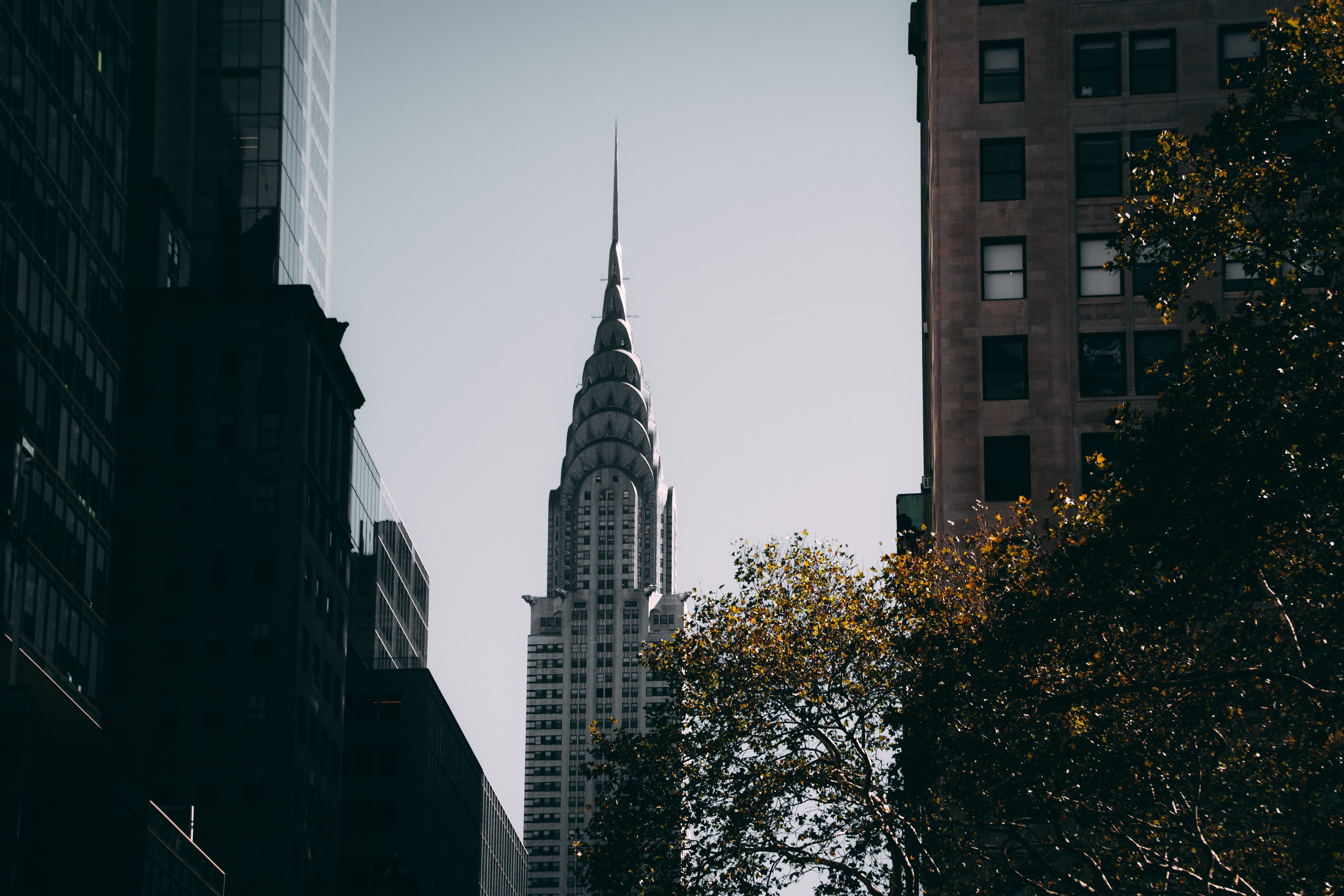 usa, architecture, new york, rise, building exterior, 5K, travel destinations, near, day, landmark, white, facade, modern, skyscraper, tree, new york city, HD Wallpaper